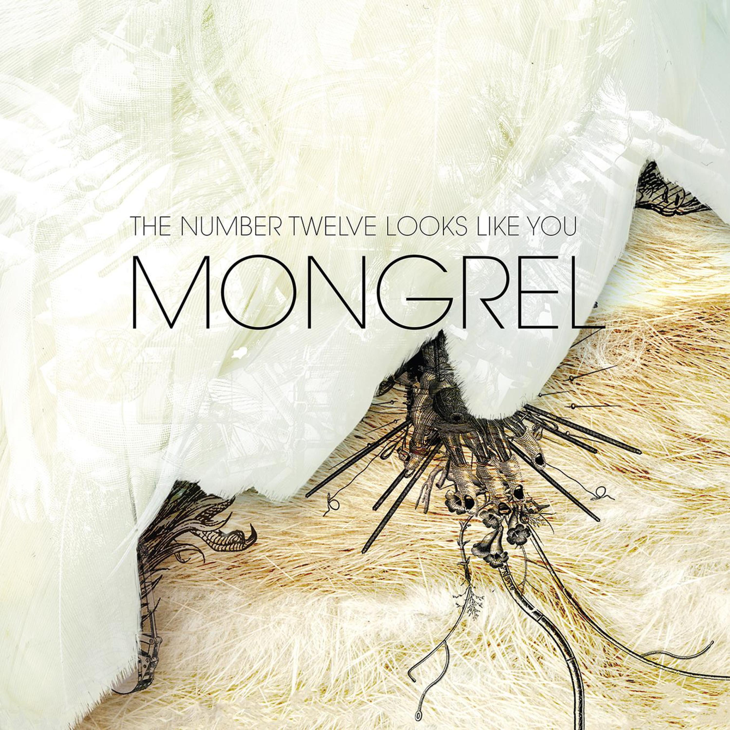 Релиз Mongrel