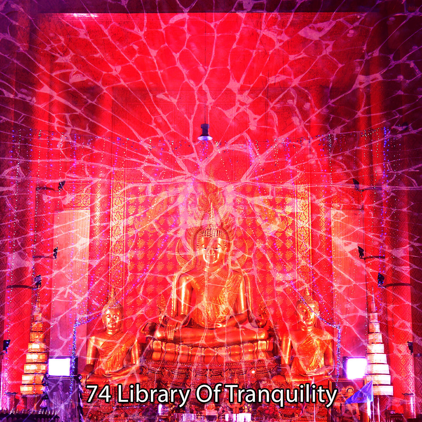 Постер альбома 74 Library Of Tranquility