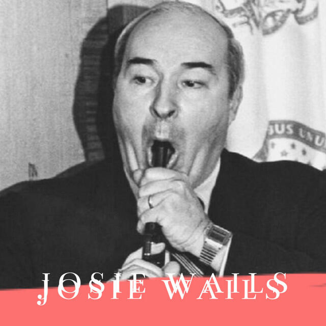 Релиз Josie Wails