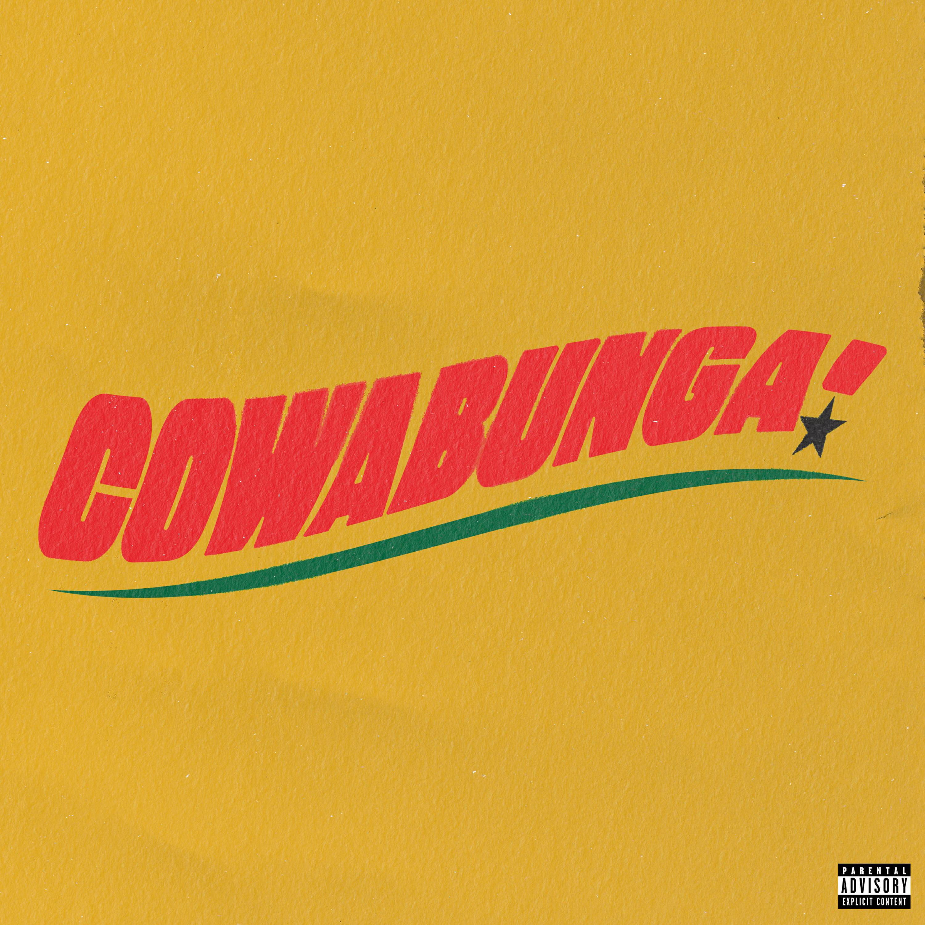 Релиз COWABUNGA