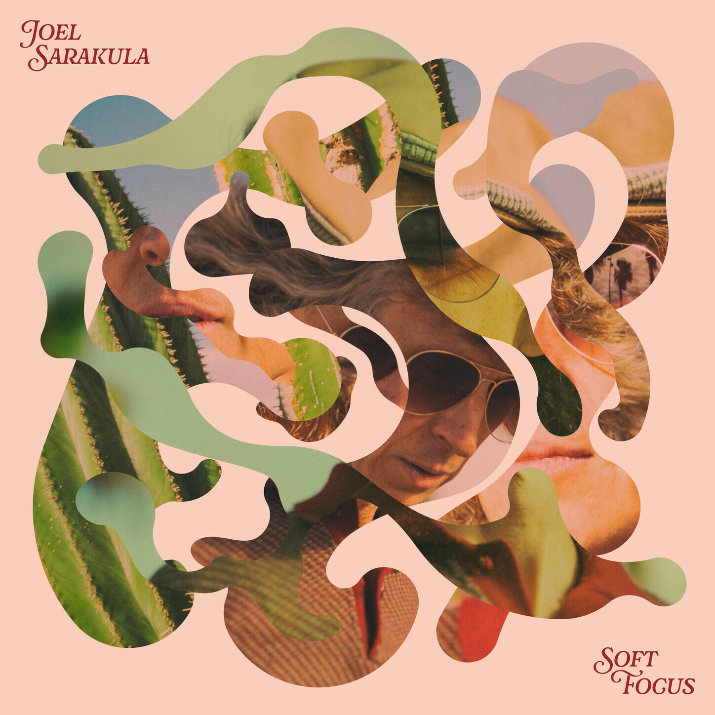 Релиз Soft Focus