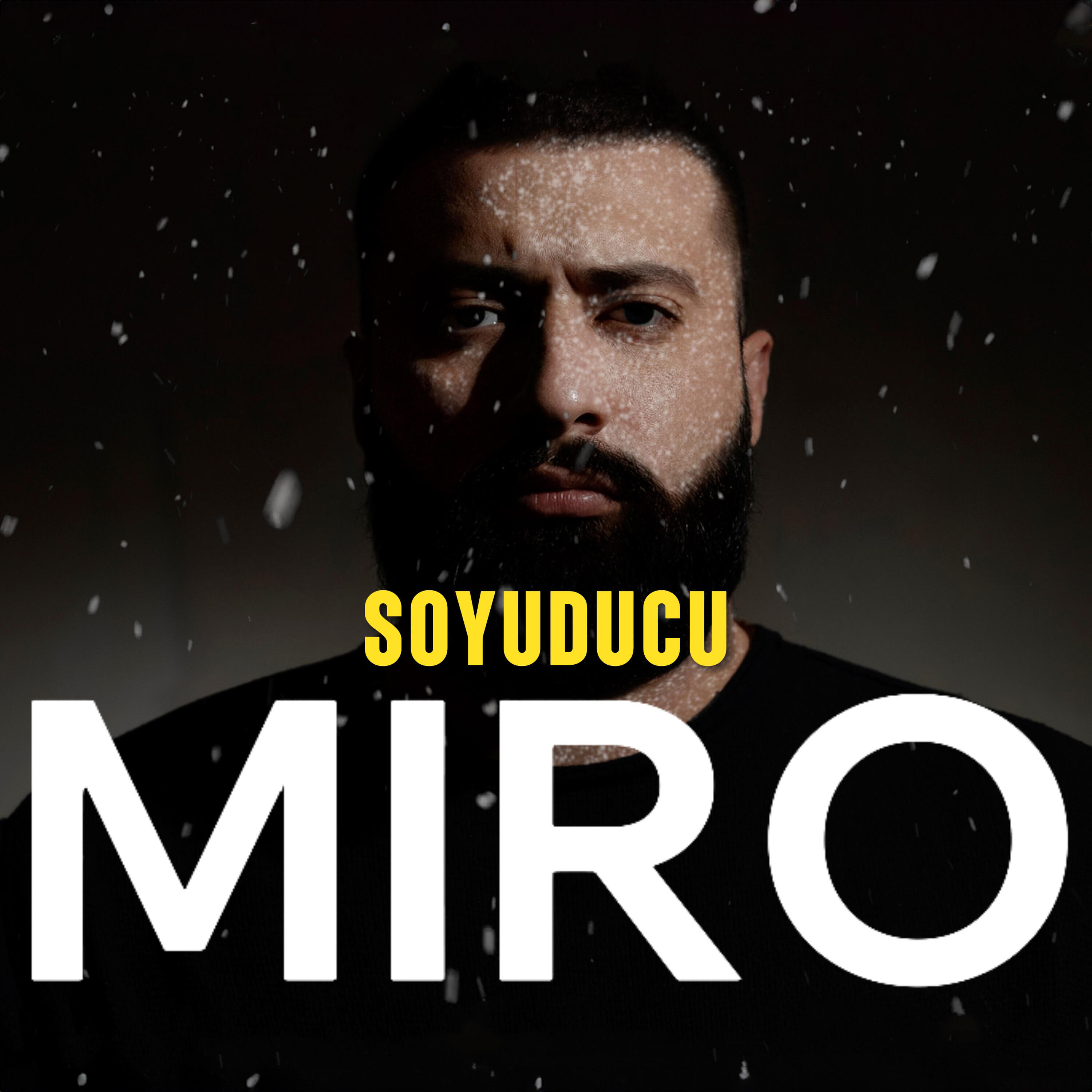 Постер альбома Soyuducu