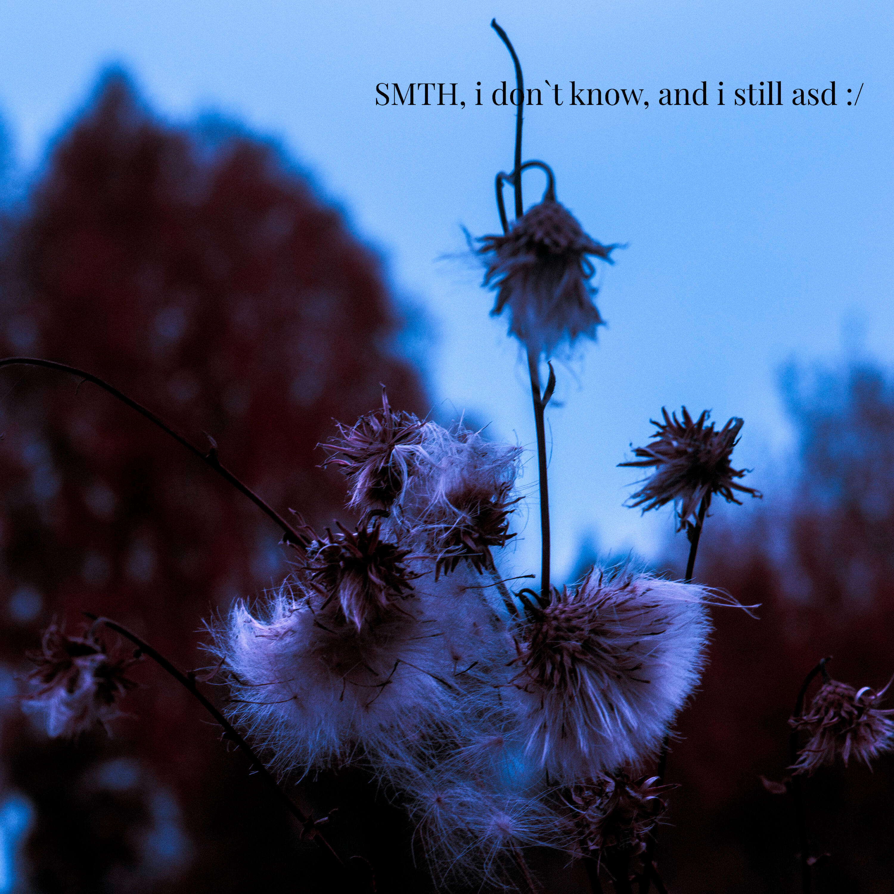 Релиз Smth, I Don`t Know, and I Still Asd :/