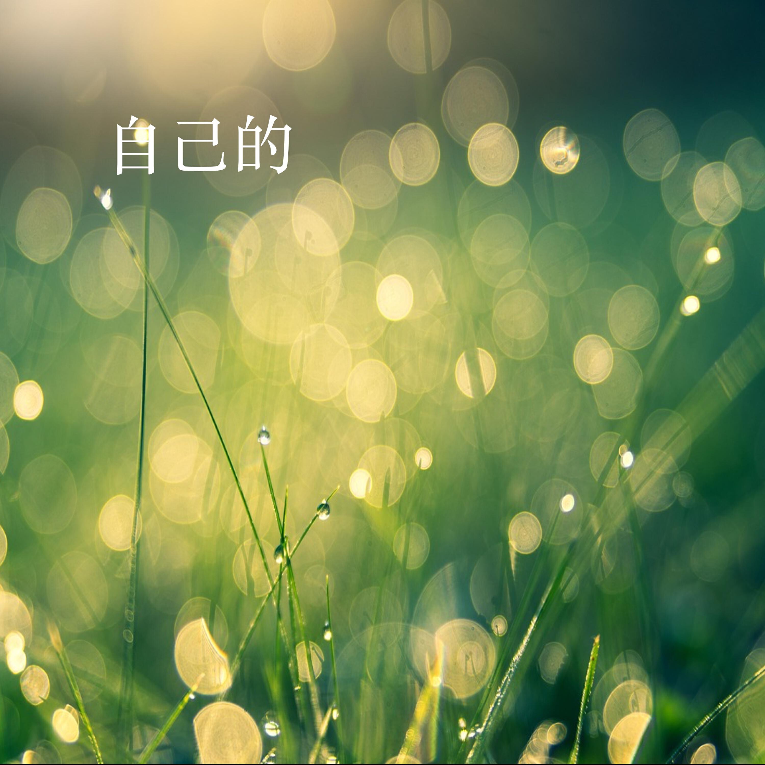 Релиз 自己的