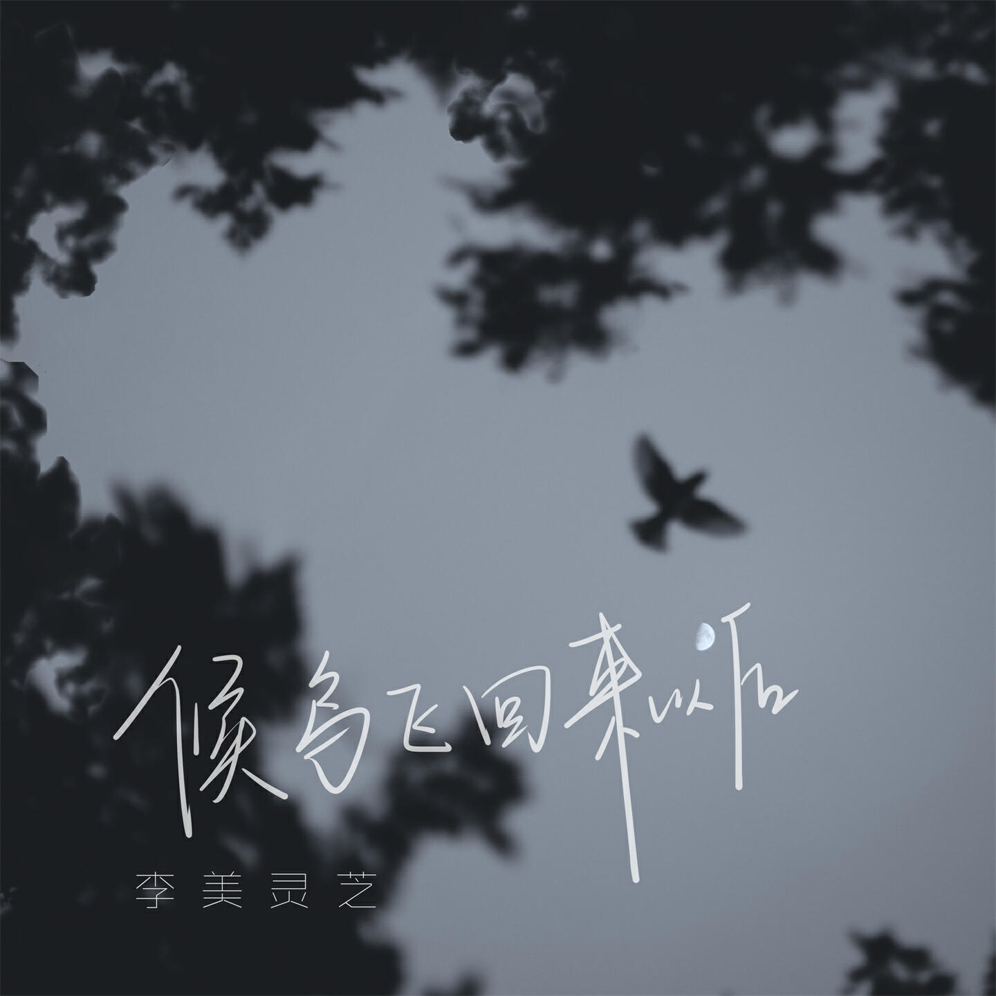 Релиз 候鸟飞回来以后