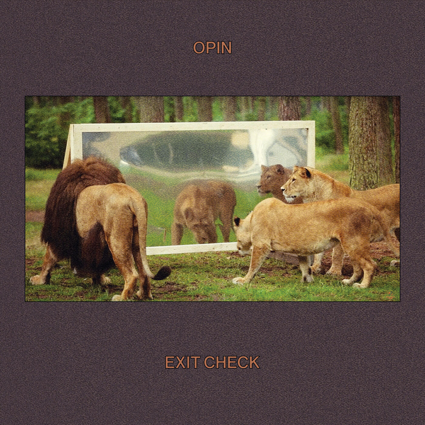 Релиз Exit Check