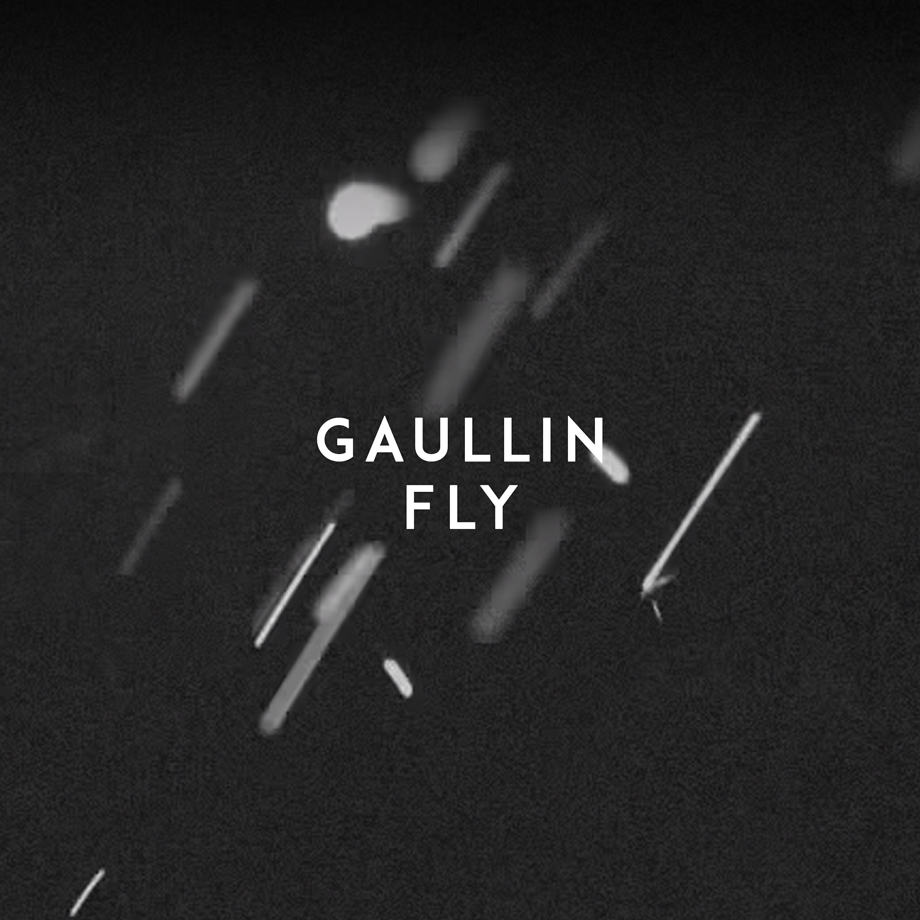 Релиз Fly