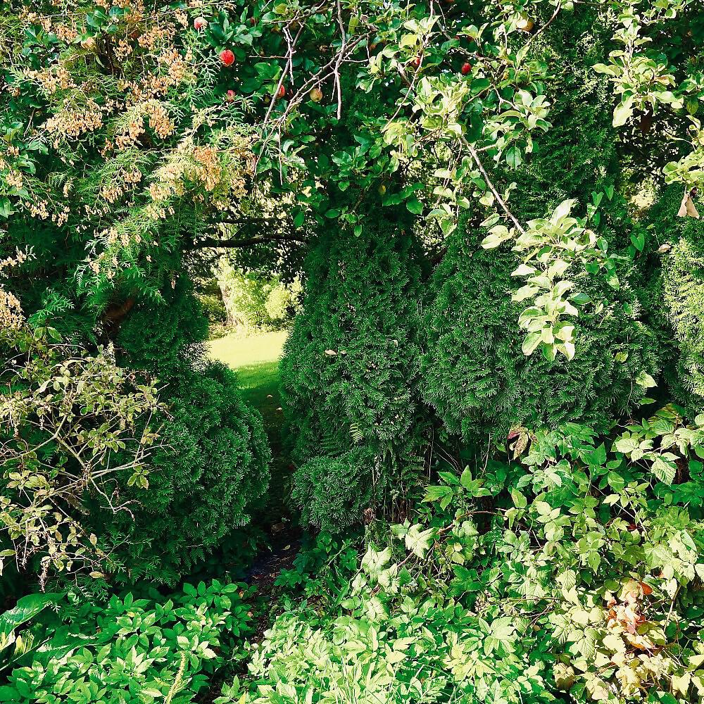 Релиз Tuoll' on mun kultani