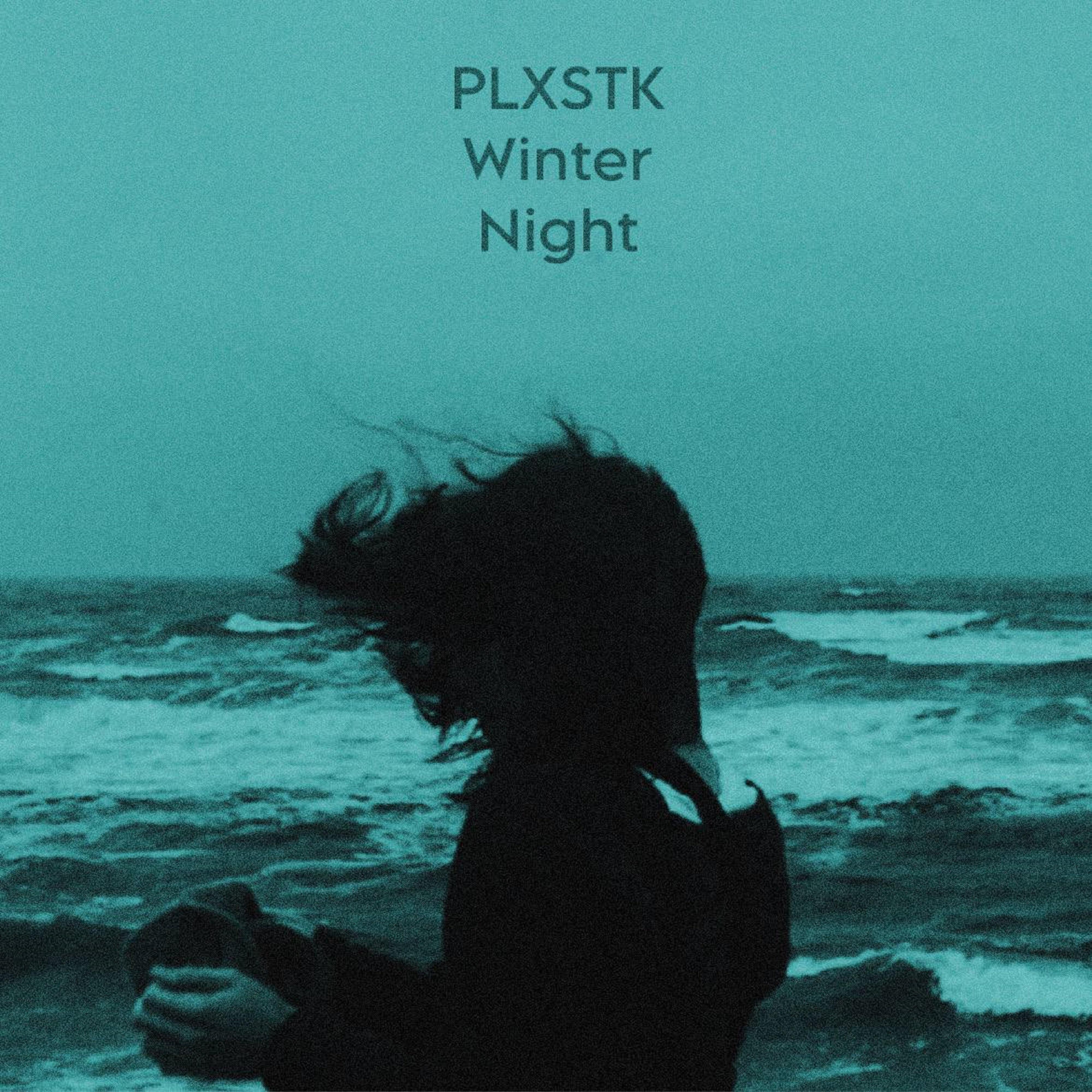 Релиз Winter Night