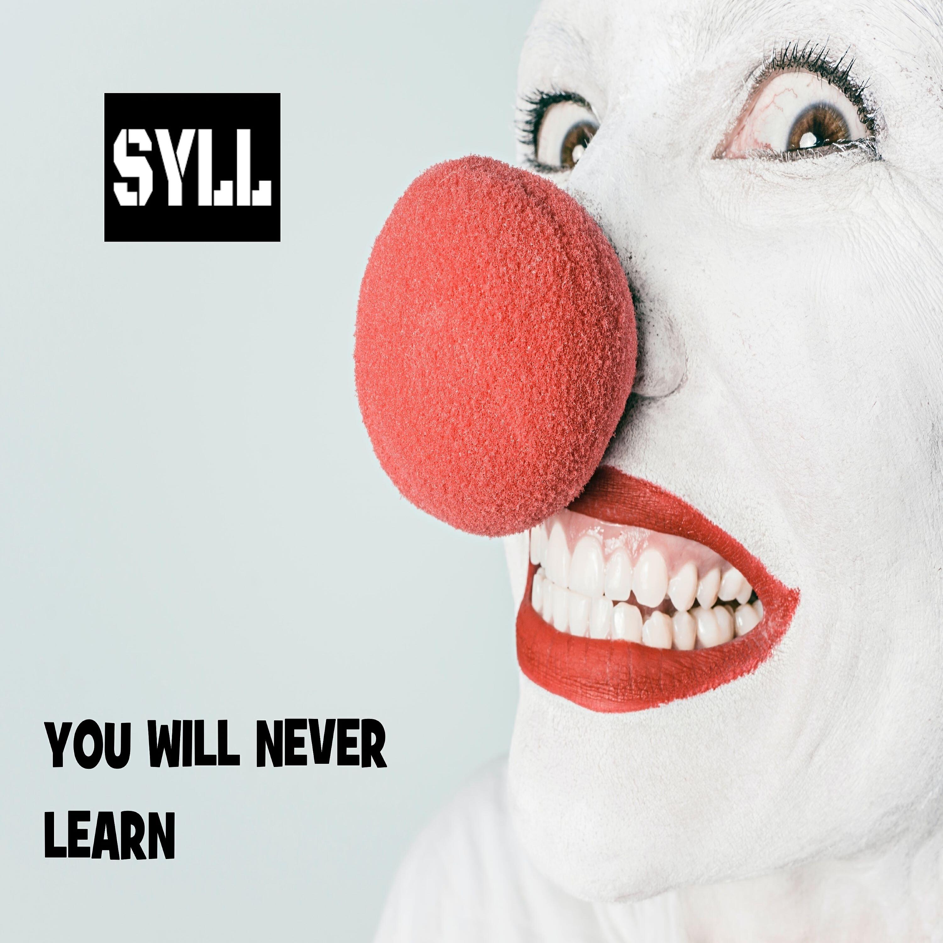 Релиз You Will Never Learn