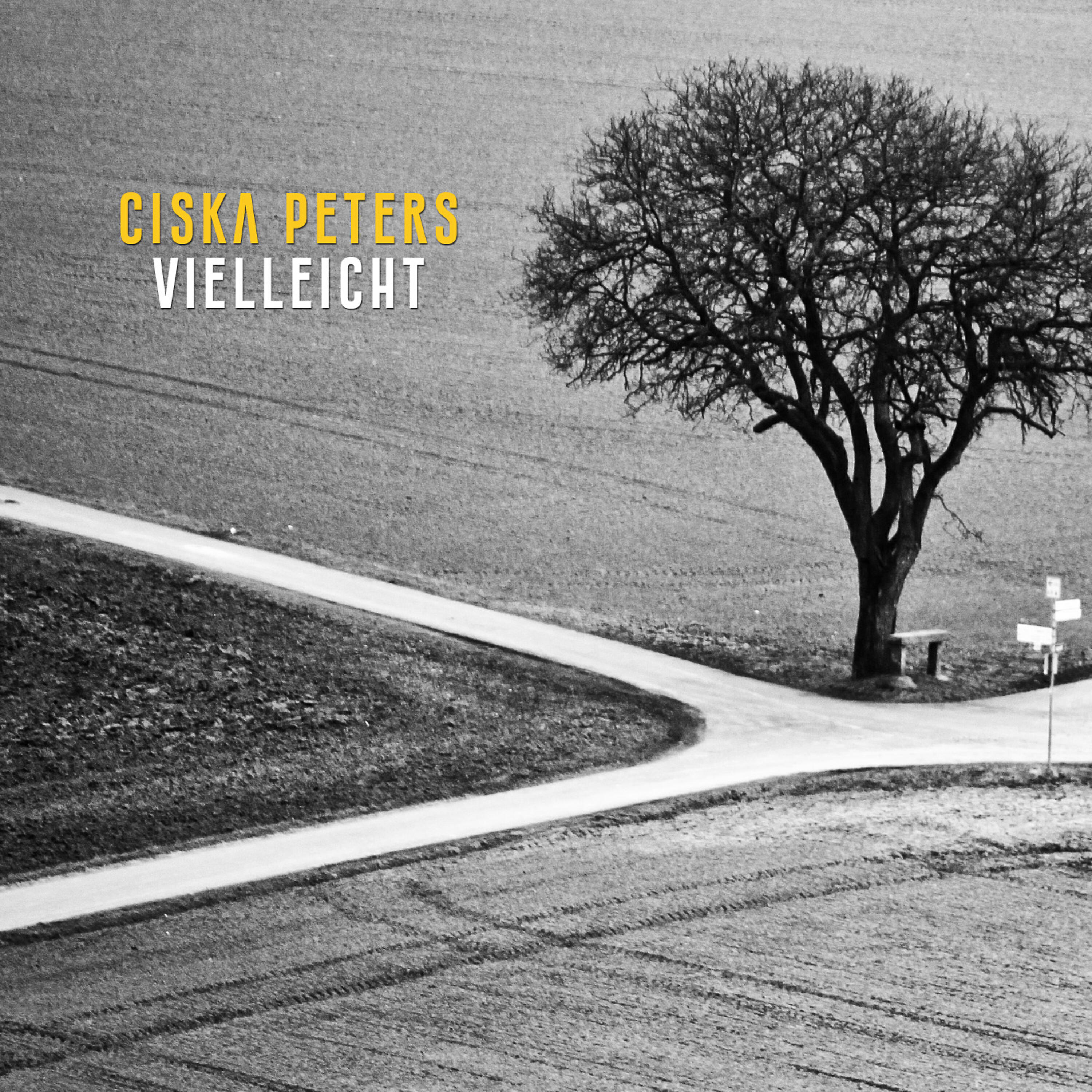 Релиз Vielleicht
