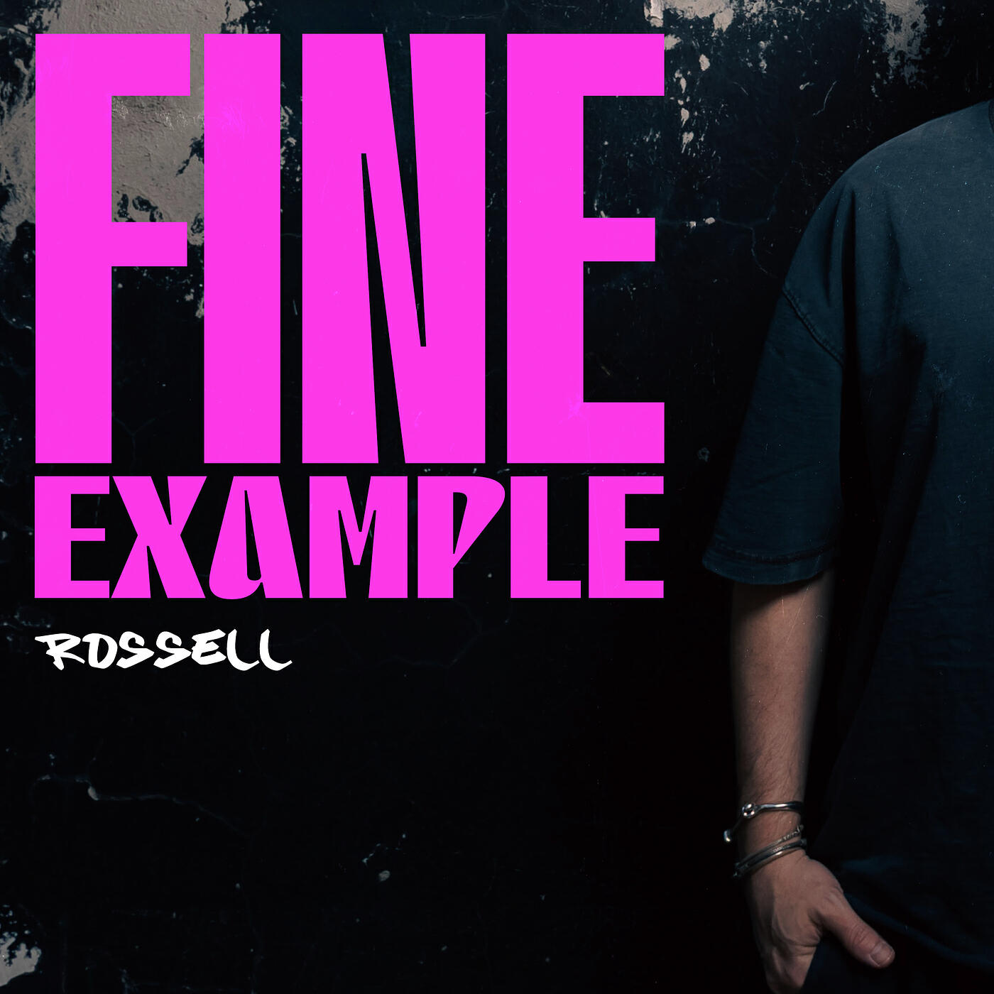 Релиз Fine Example Remixes