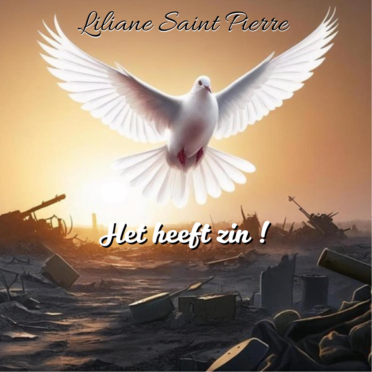 Релиз Het heeft zin