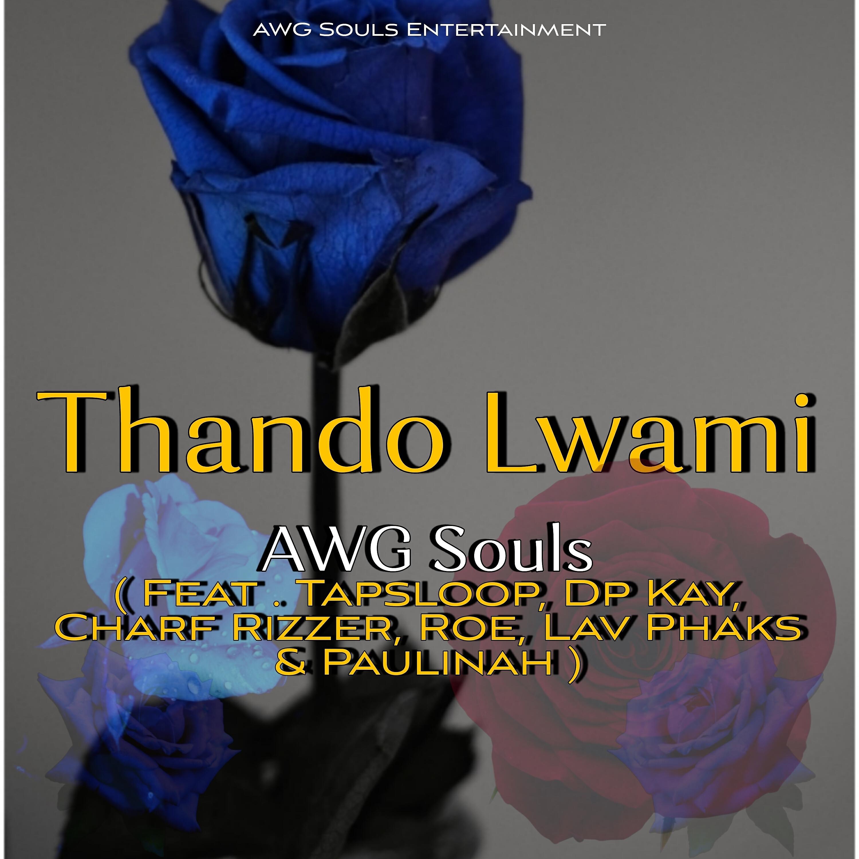 Релиз Thando Lwami