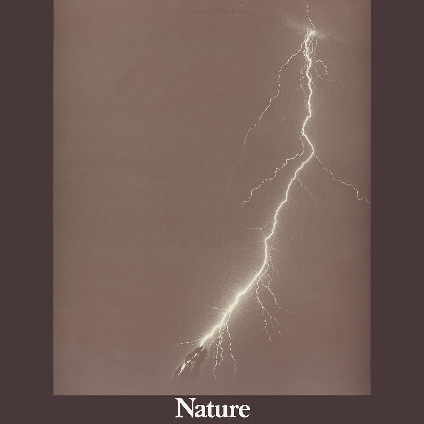 Релиз Nature