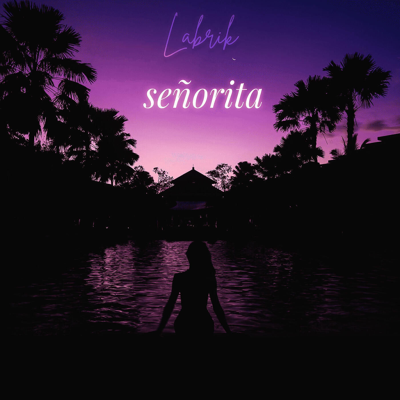 Релиз Señorita