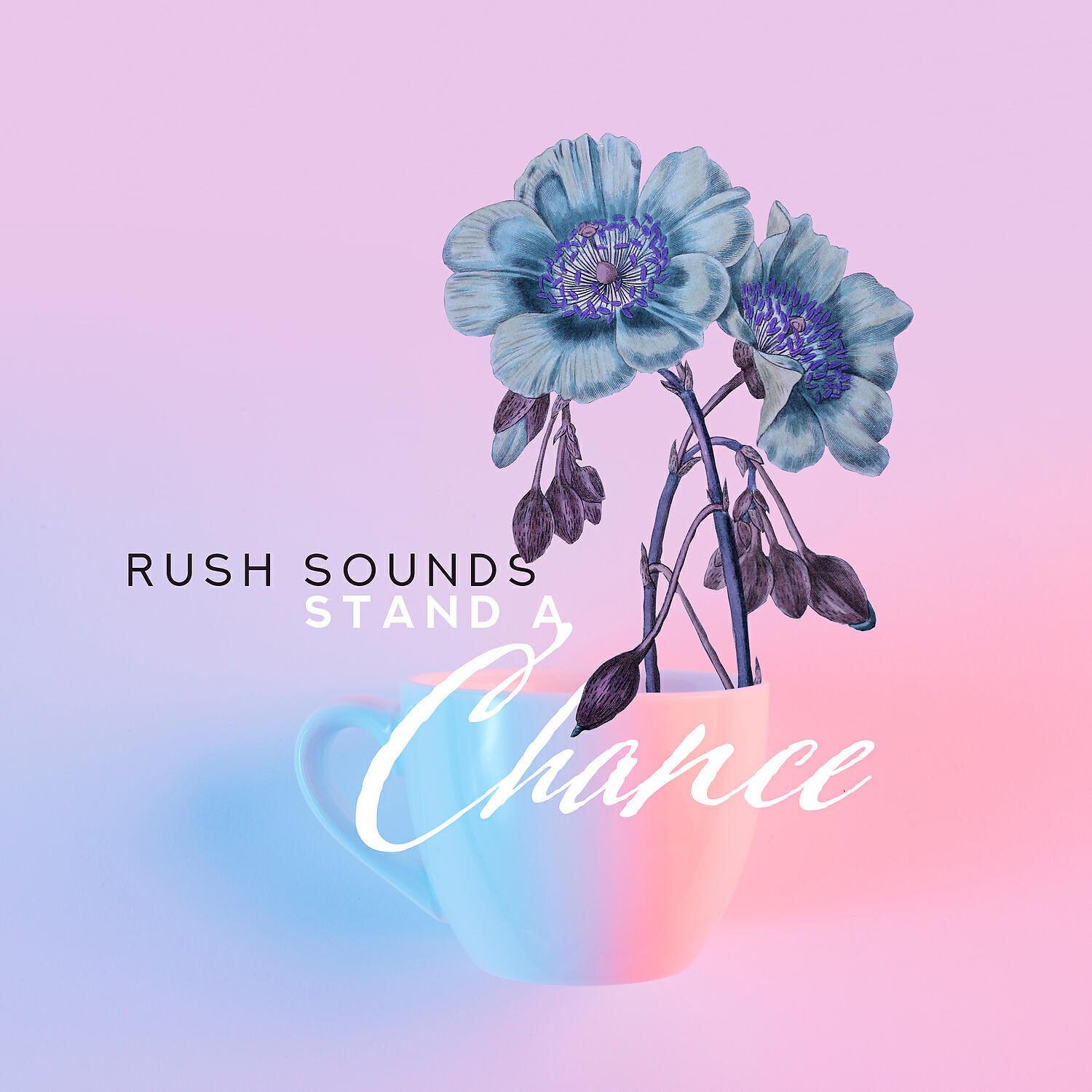 Релиз Stand a Chance