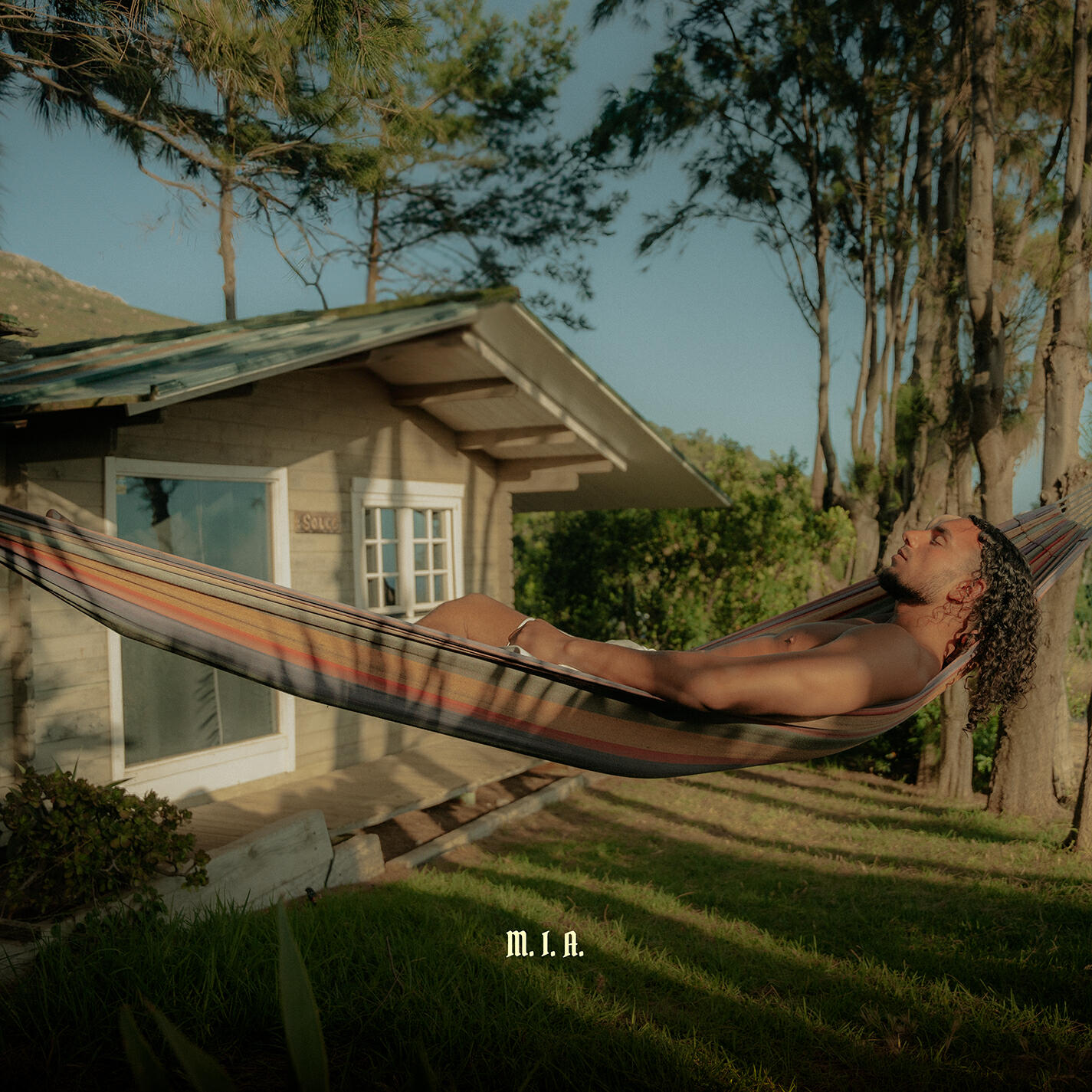 Релиз M.I.A.