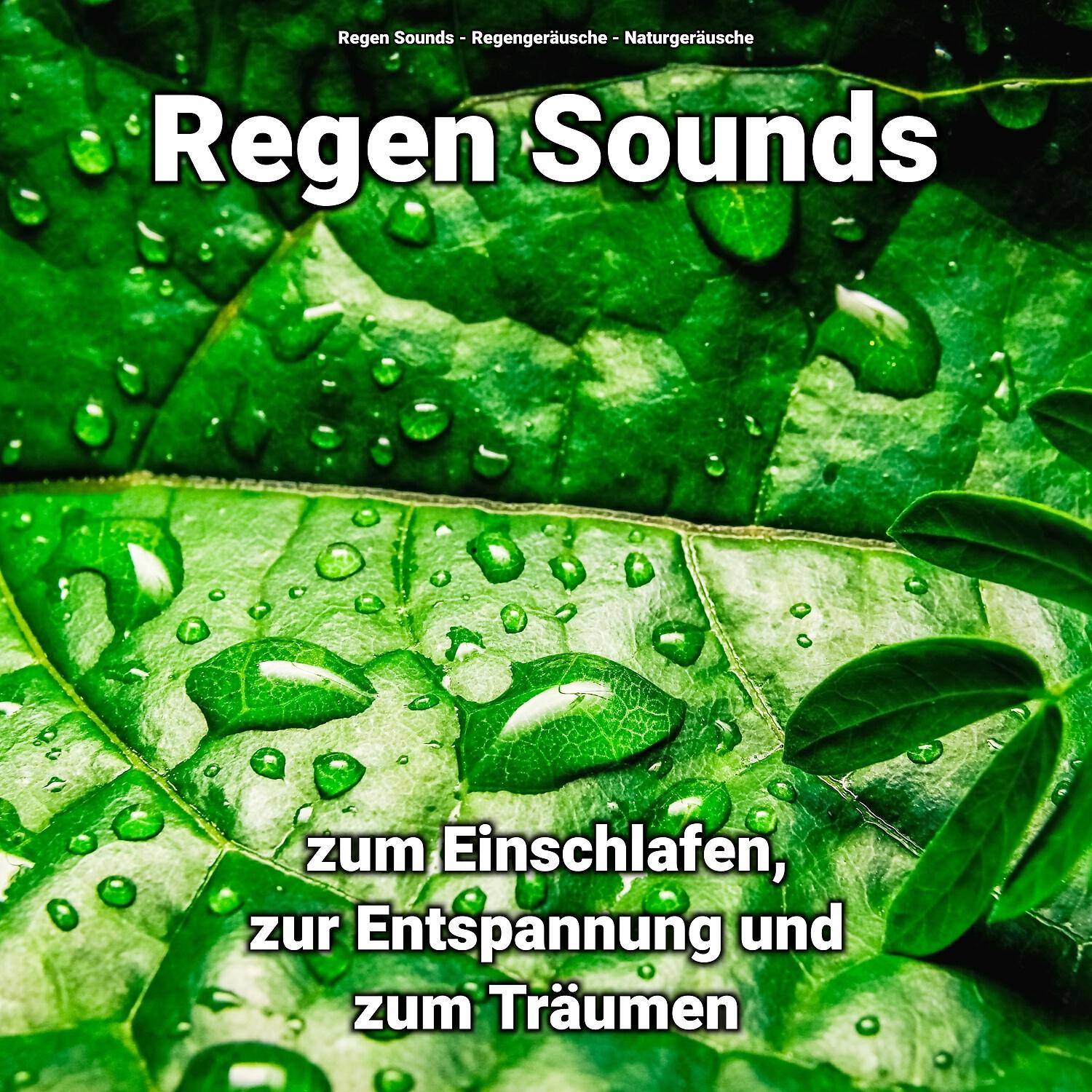 Релиз Regen Sounds zum Einschlafen, zur Entspannung und zum Träumen
