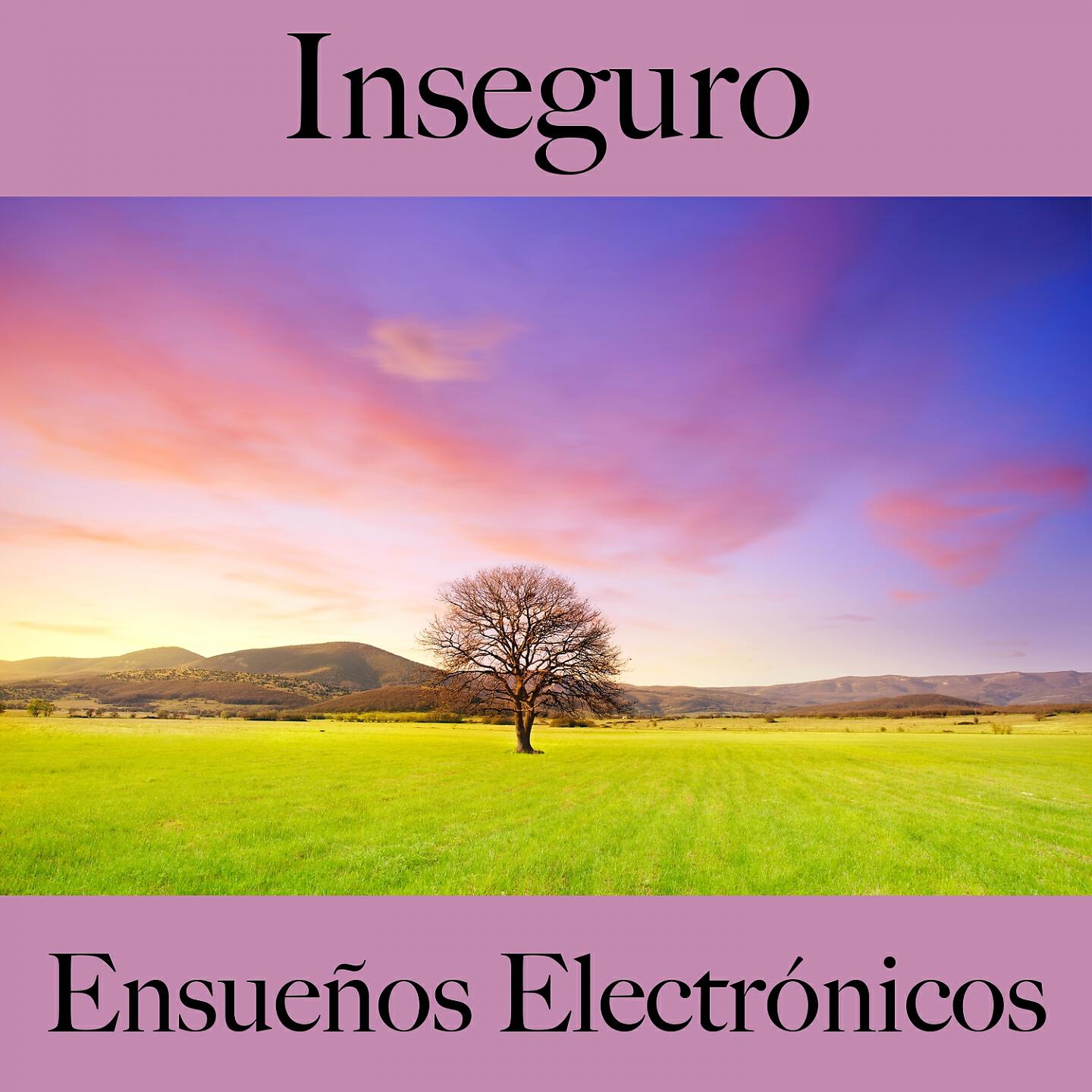 Релиз Inseguro: Ensueños Electrónicos - La Mejor Música Para Sentirse Mejor