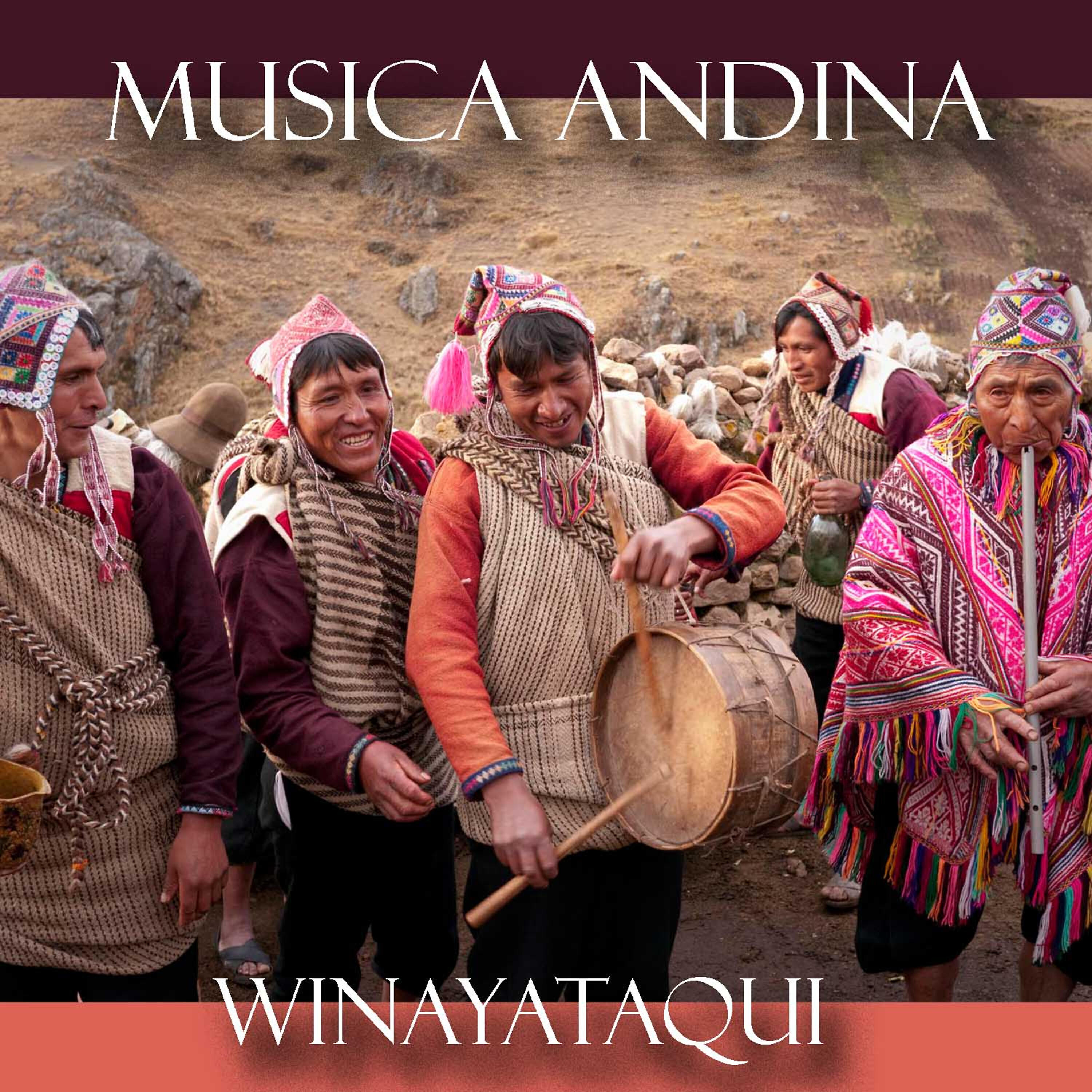 Релиз Musica Andina - Winayataqui