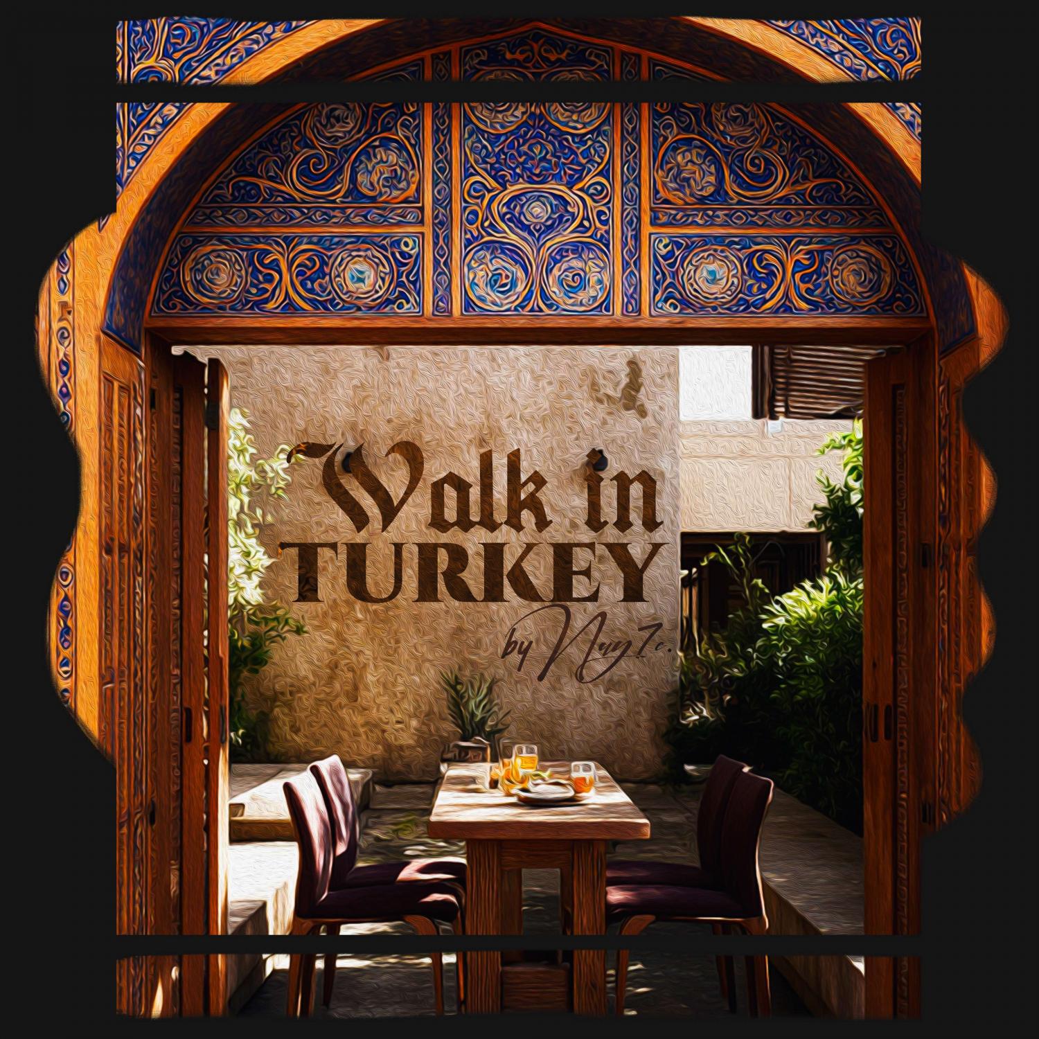 Релиз Walk In Turkey