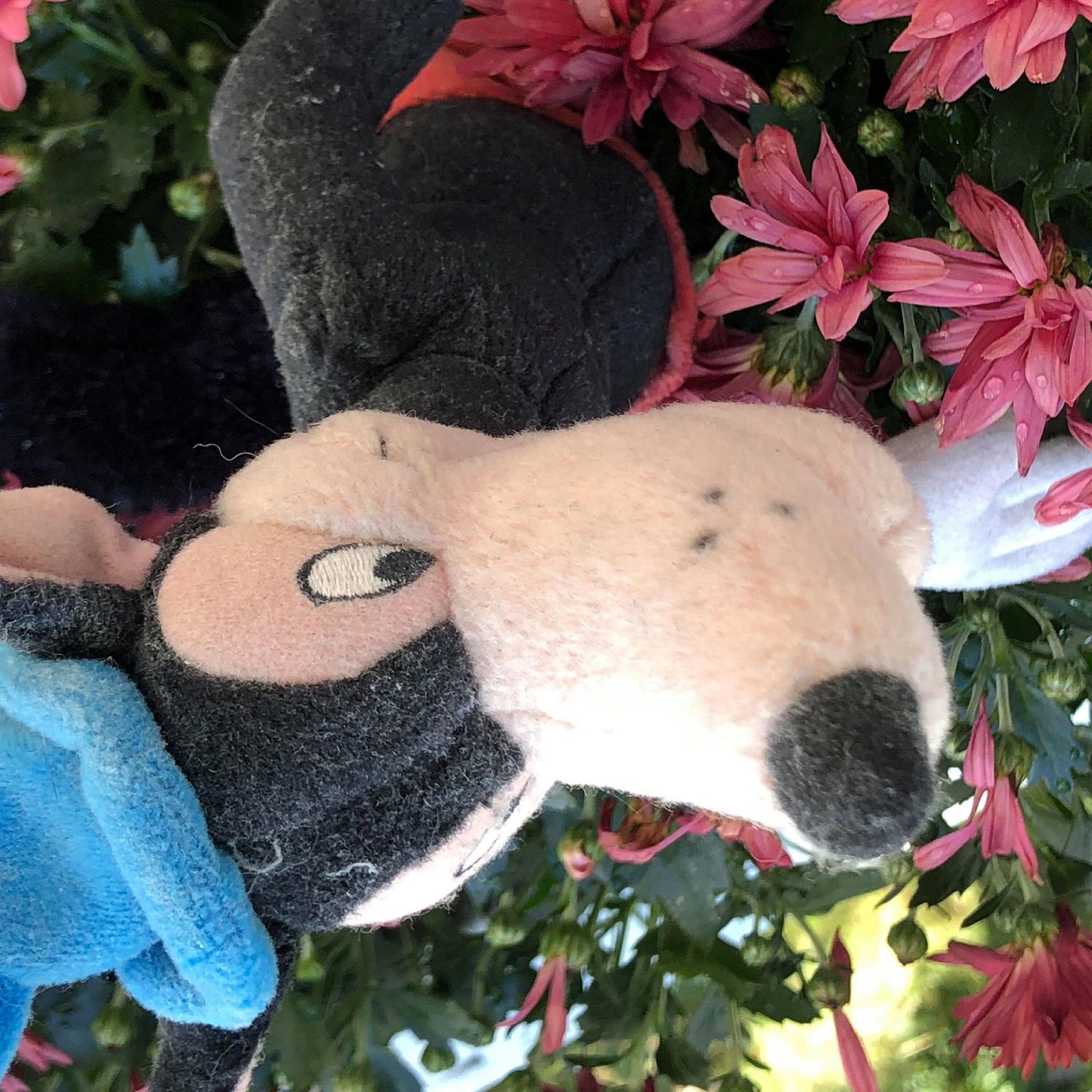 Релиз Var é vargen