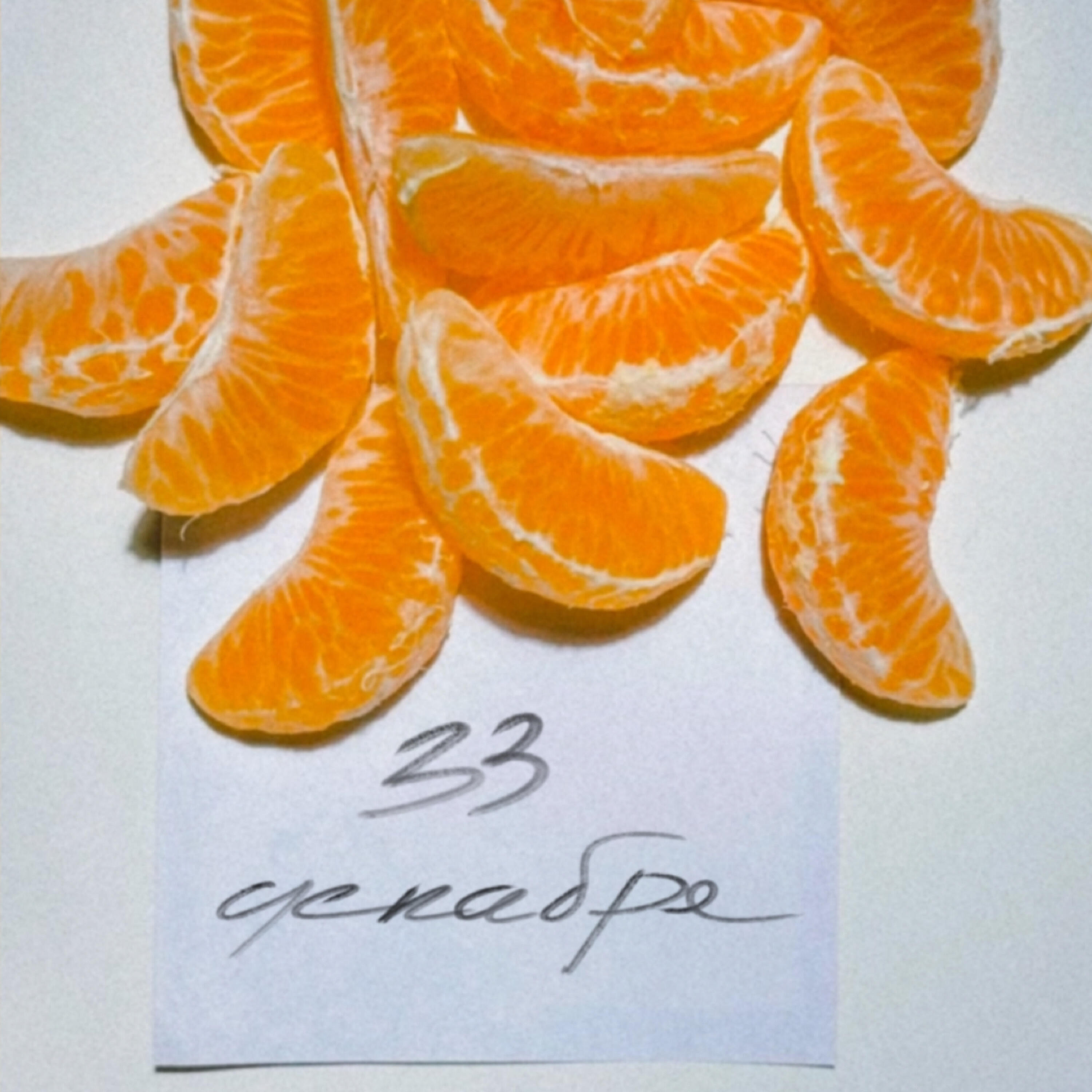 Релиз 33 декабря