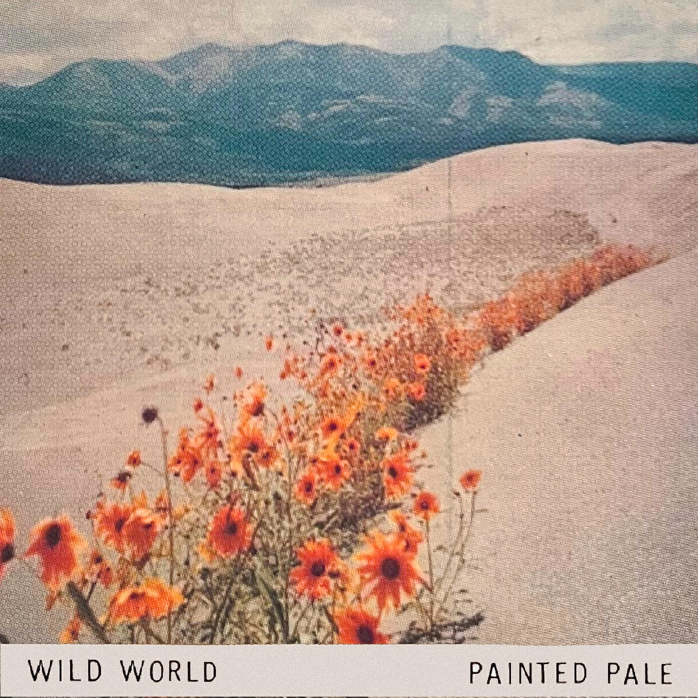 Релиз Wild World