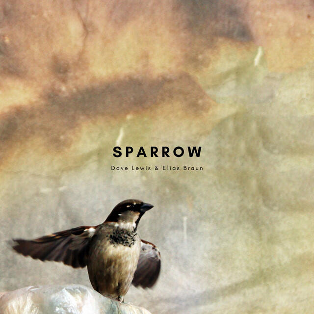 Релиз Sparrow