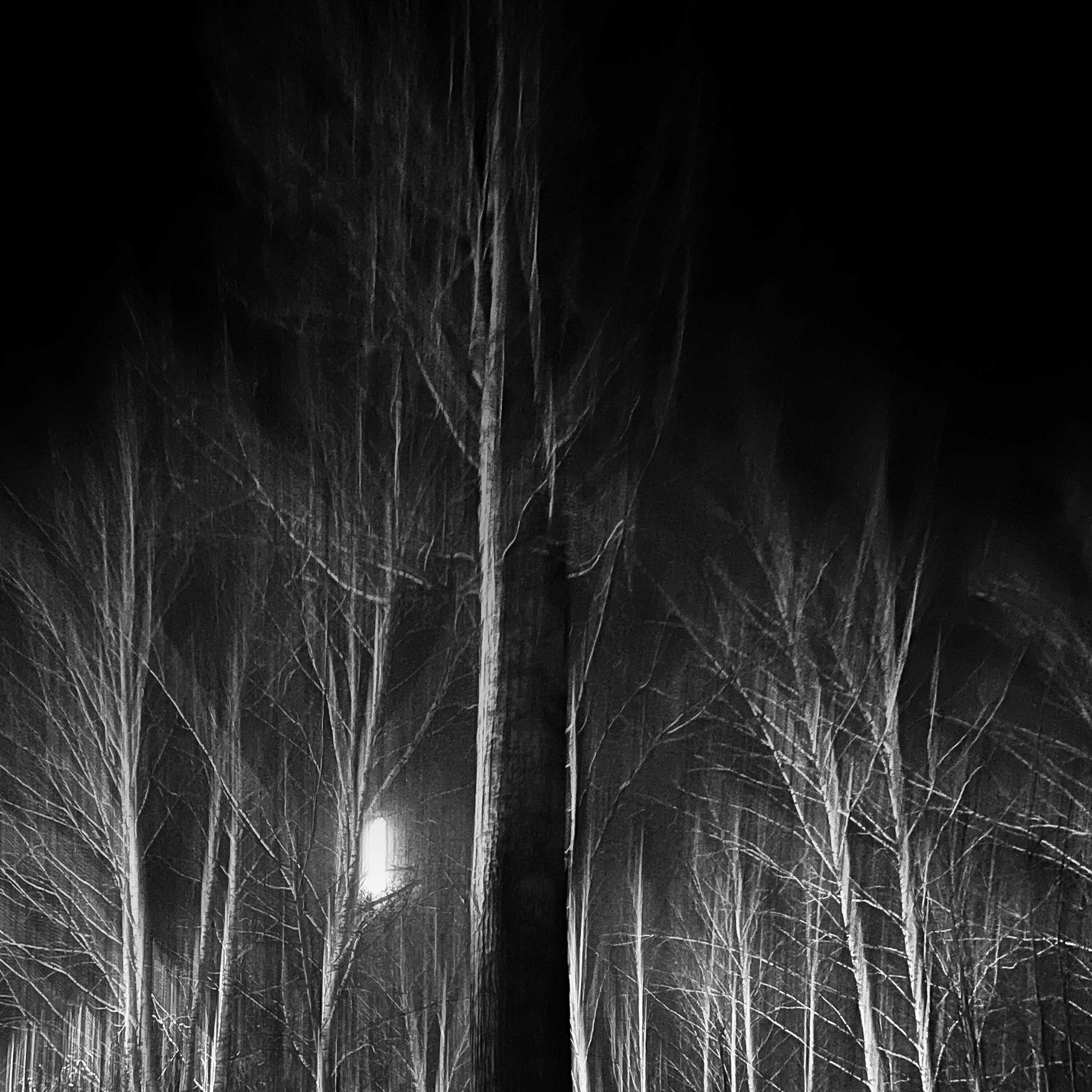 Релиз Hide and Seek