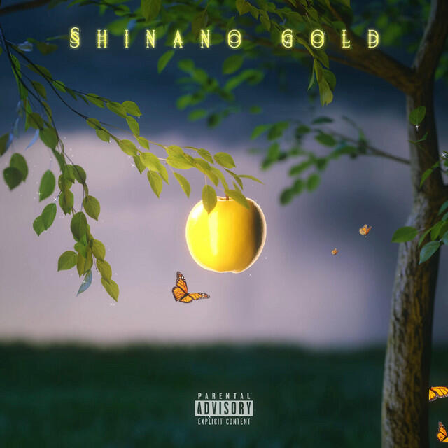 Релиз Shinano gold