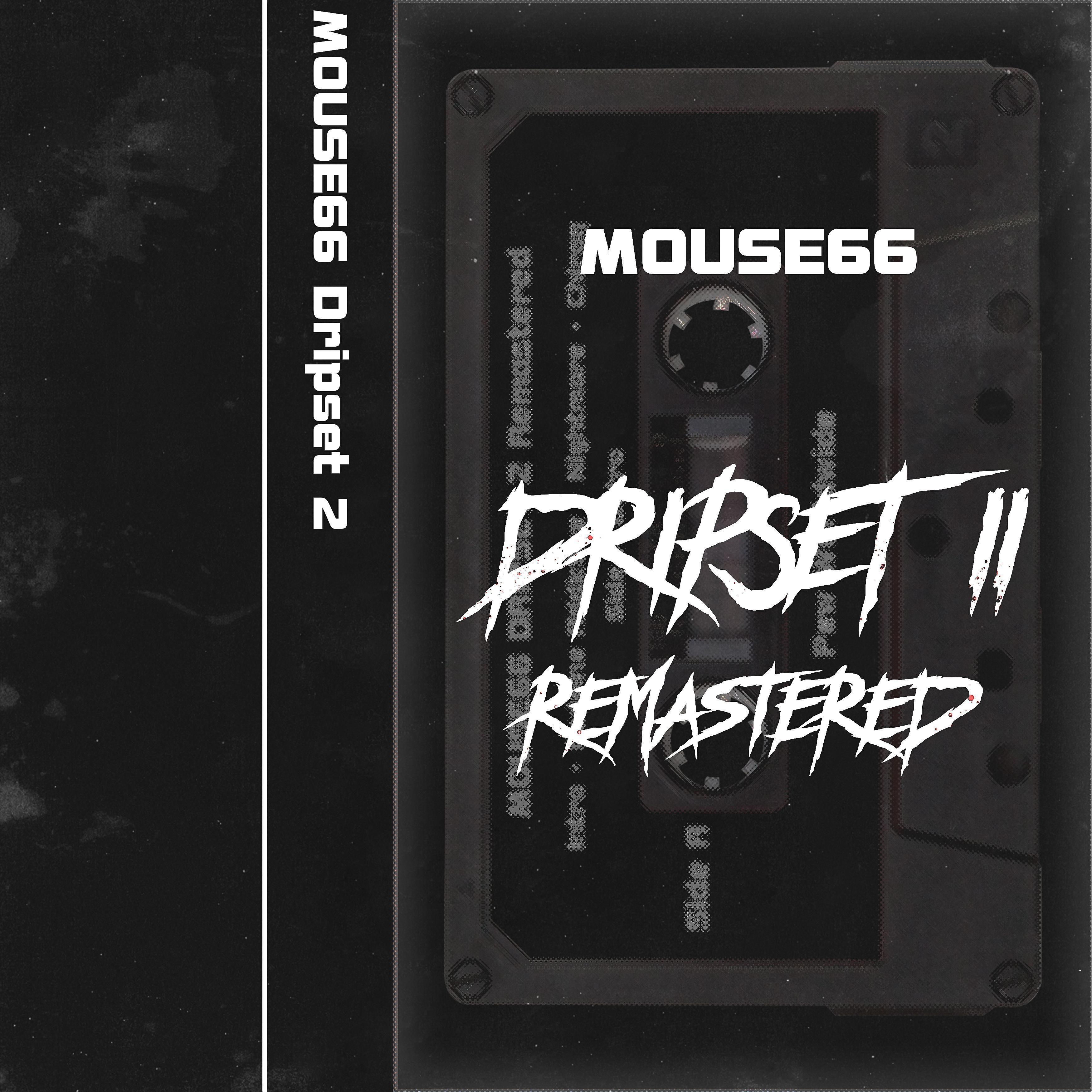 mouse66