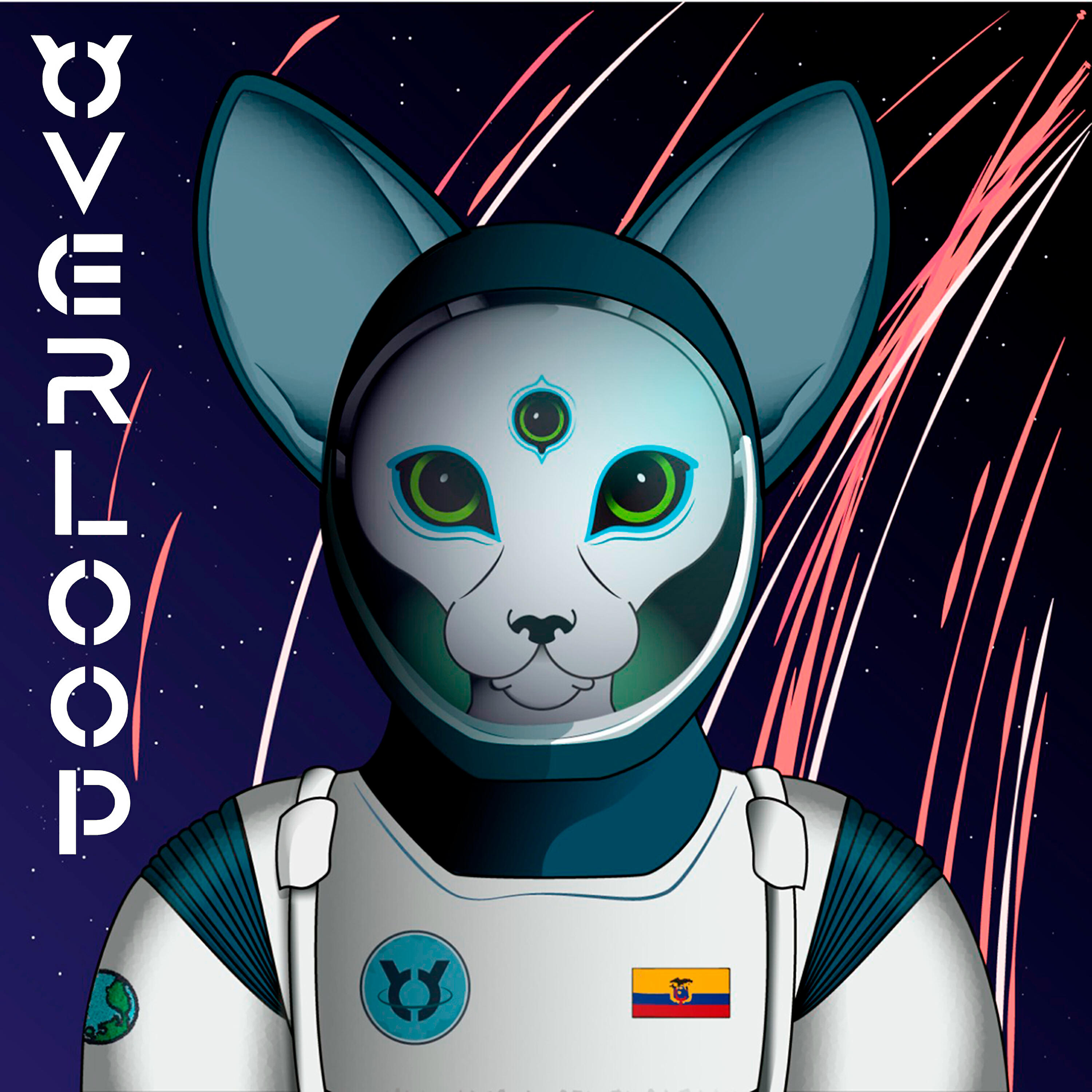 Релиз Overloop