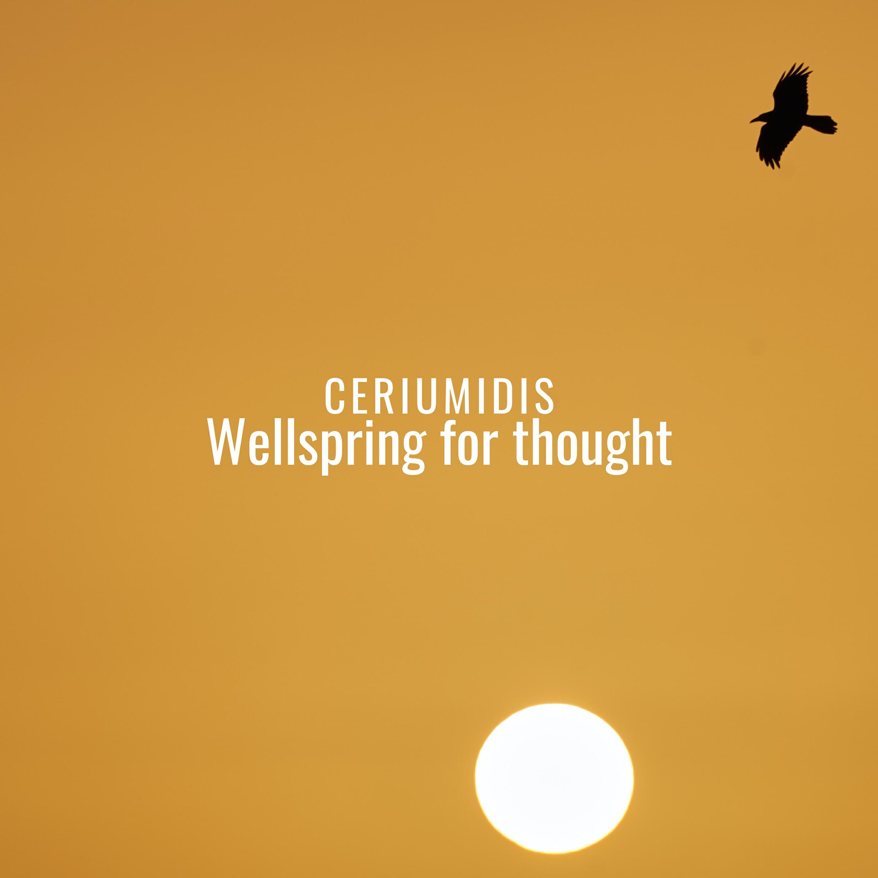 Релиз Wellspring for thought