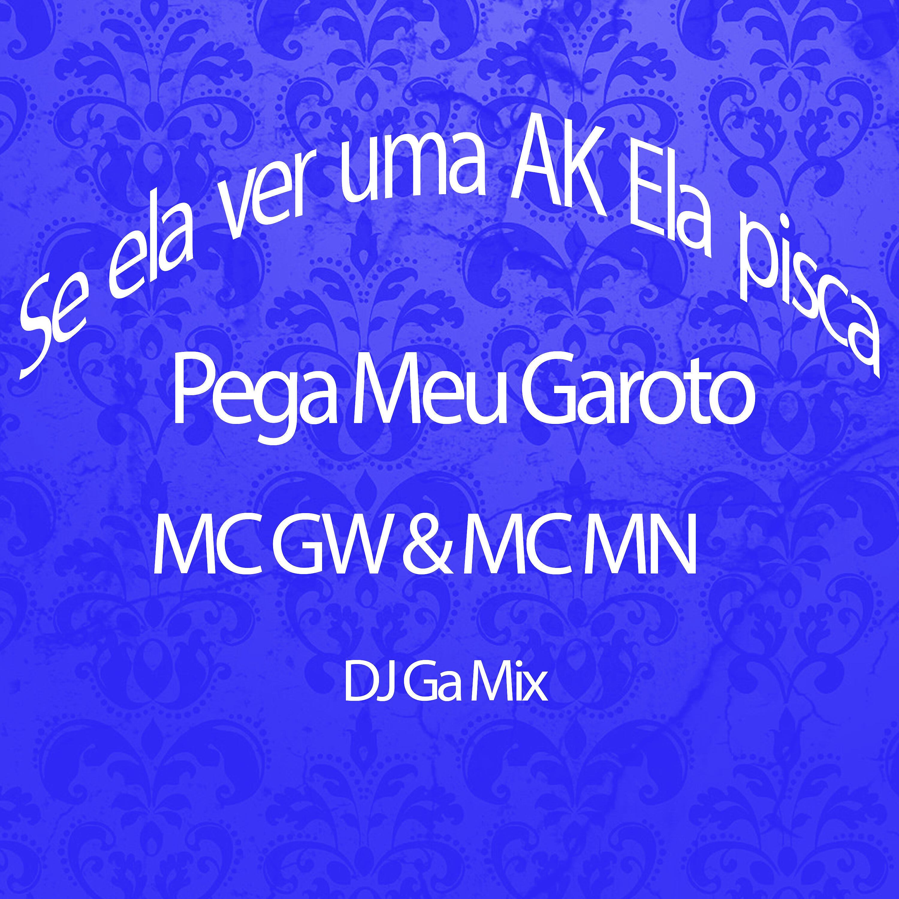 Релиз Se Ela Ver uma Ak Ela Pisca - Pega Meu Garoto