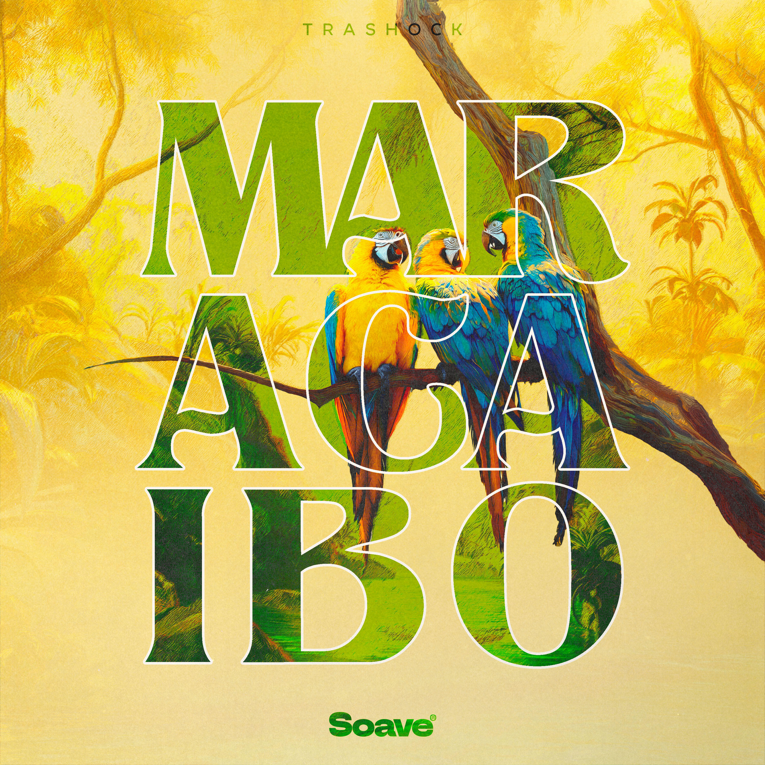 Релиз Maracaibo