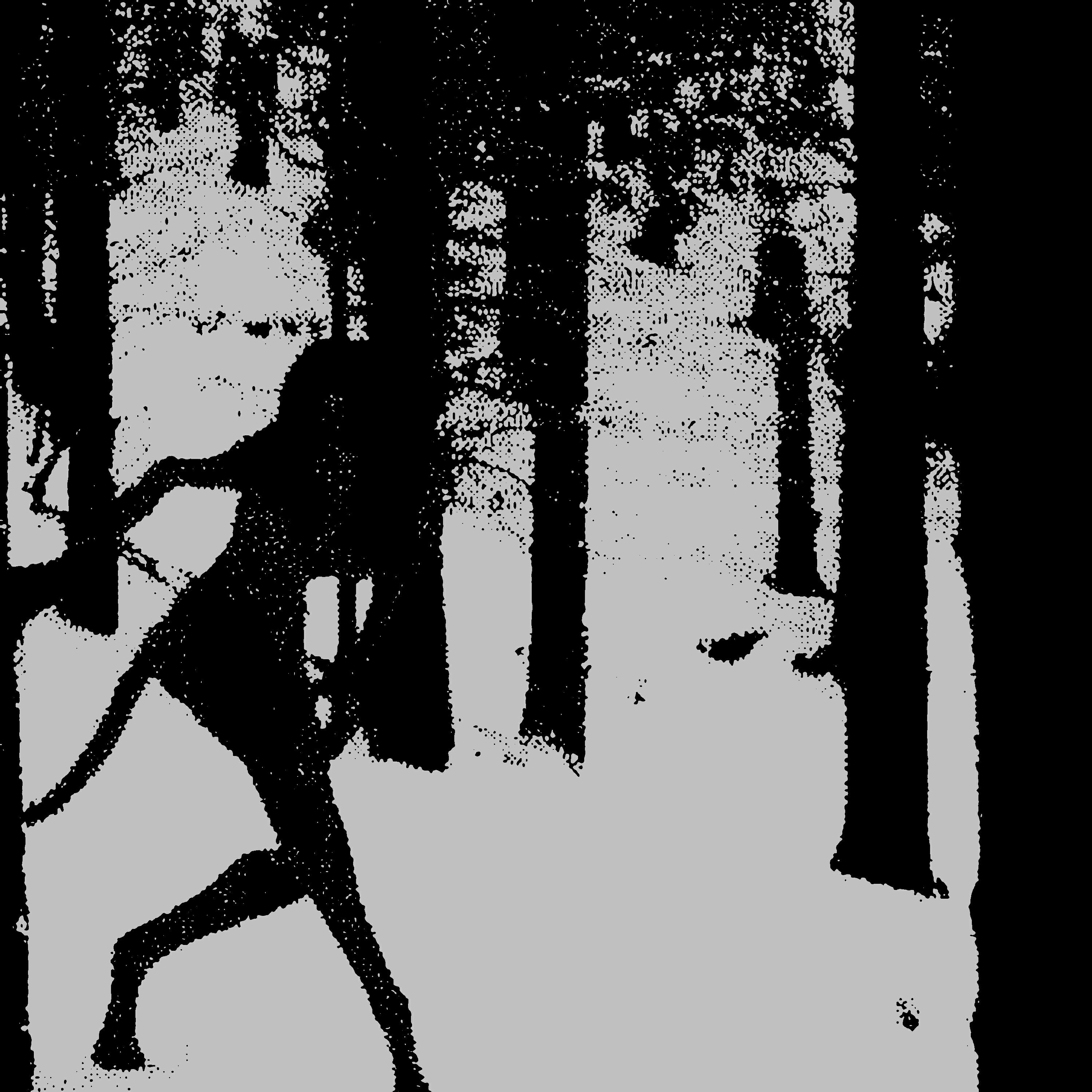Релиз Lost in Forest