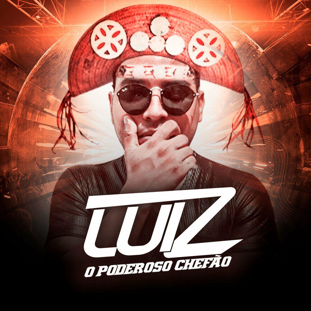 Релиз Forrozin do Gonzagão 2.0