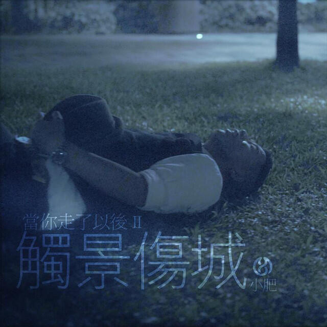 Релиз 當你走了以後II - 觸景傷城