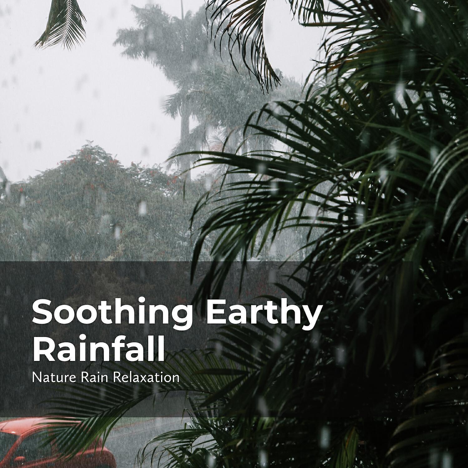 Nature Rain Relaxation