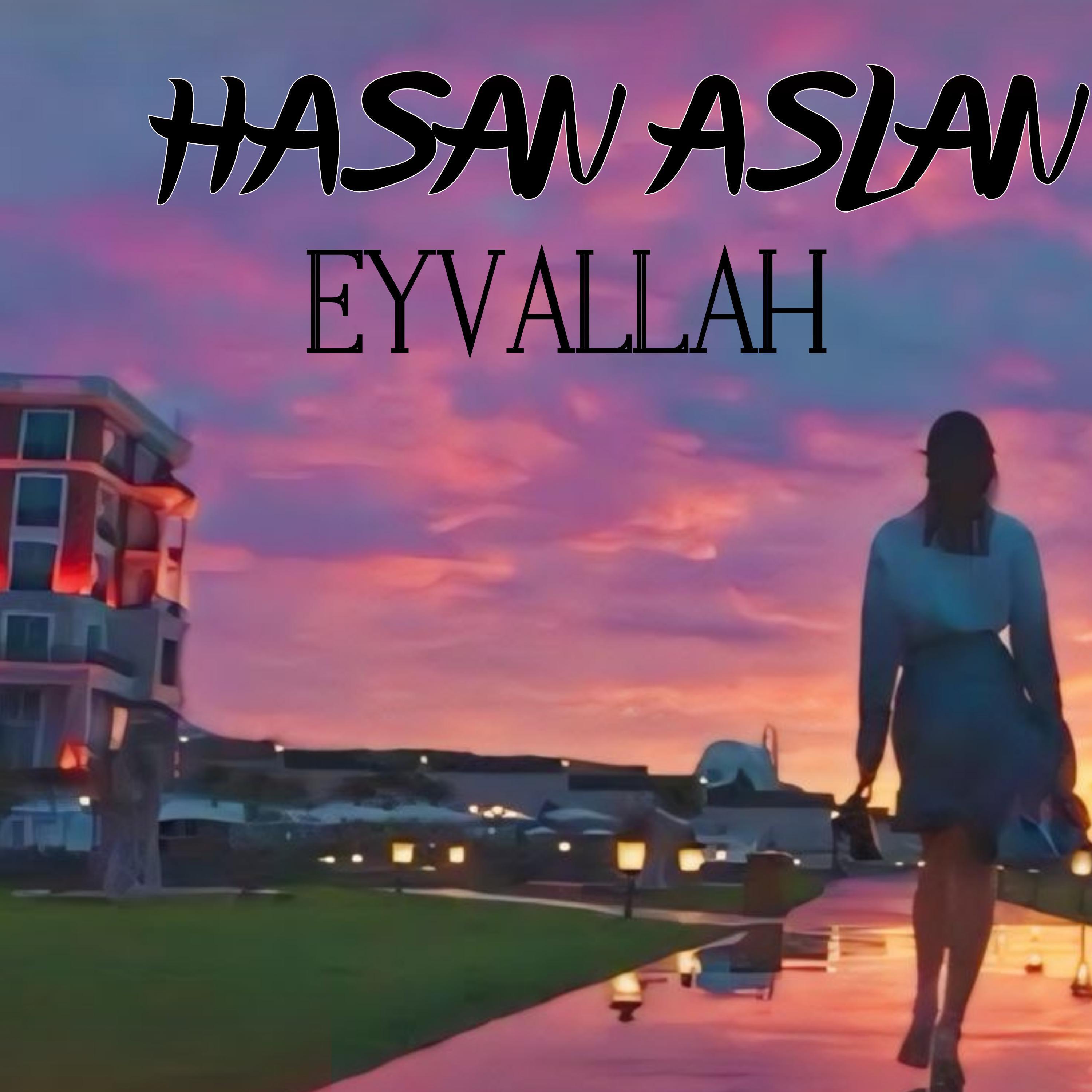 Hasan Aslan
