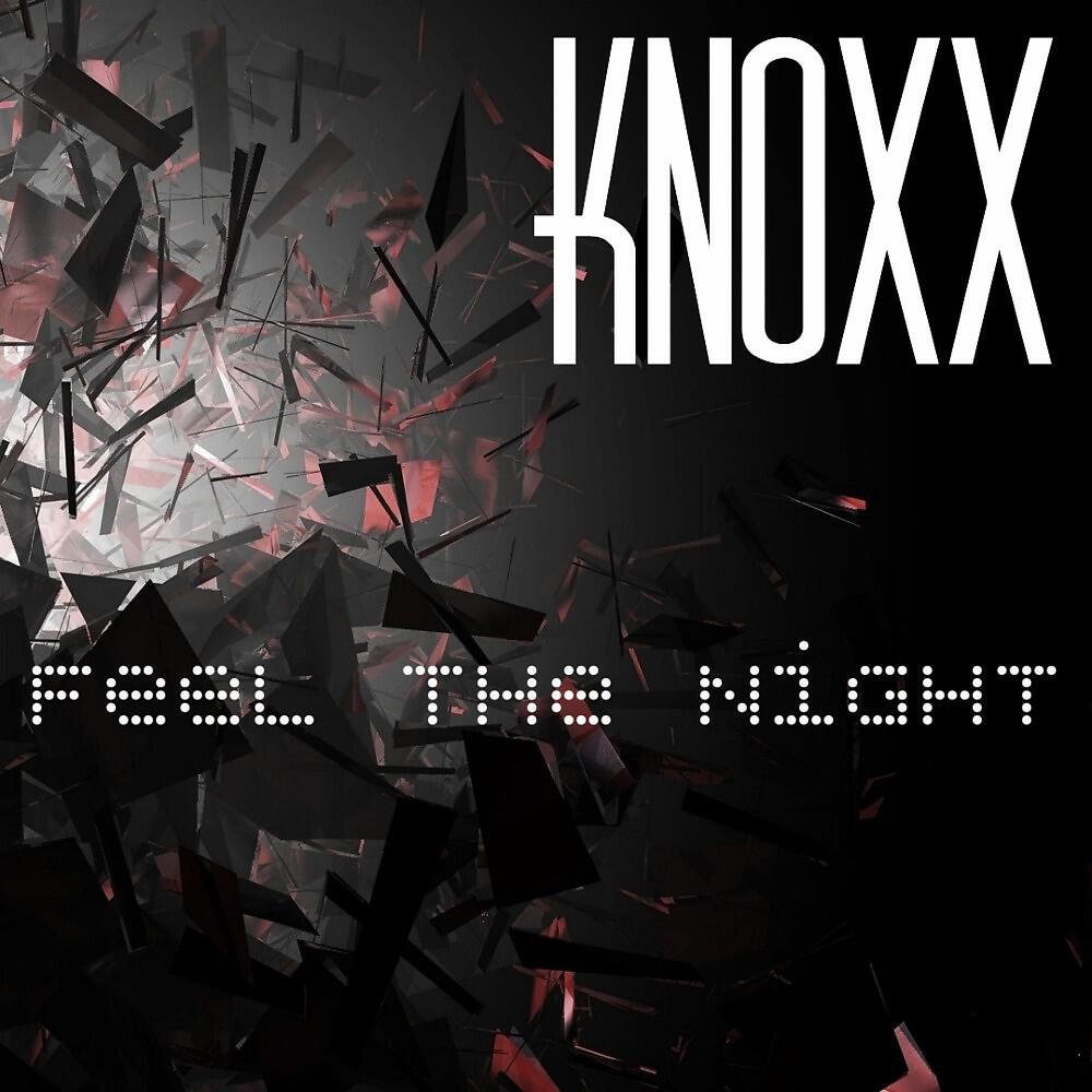 Релиз Feel the Night