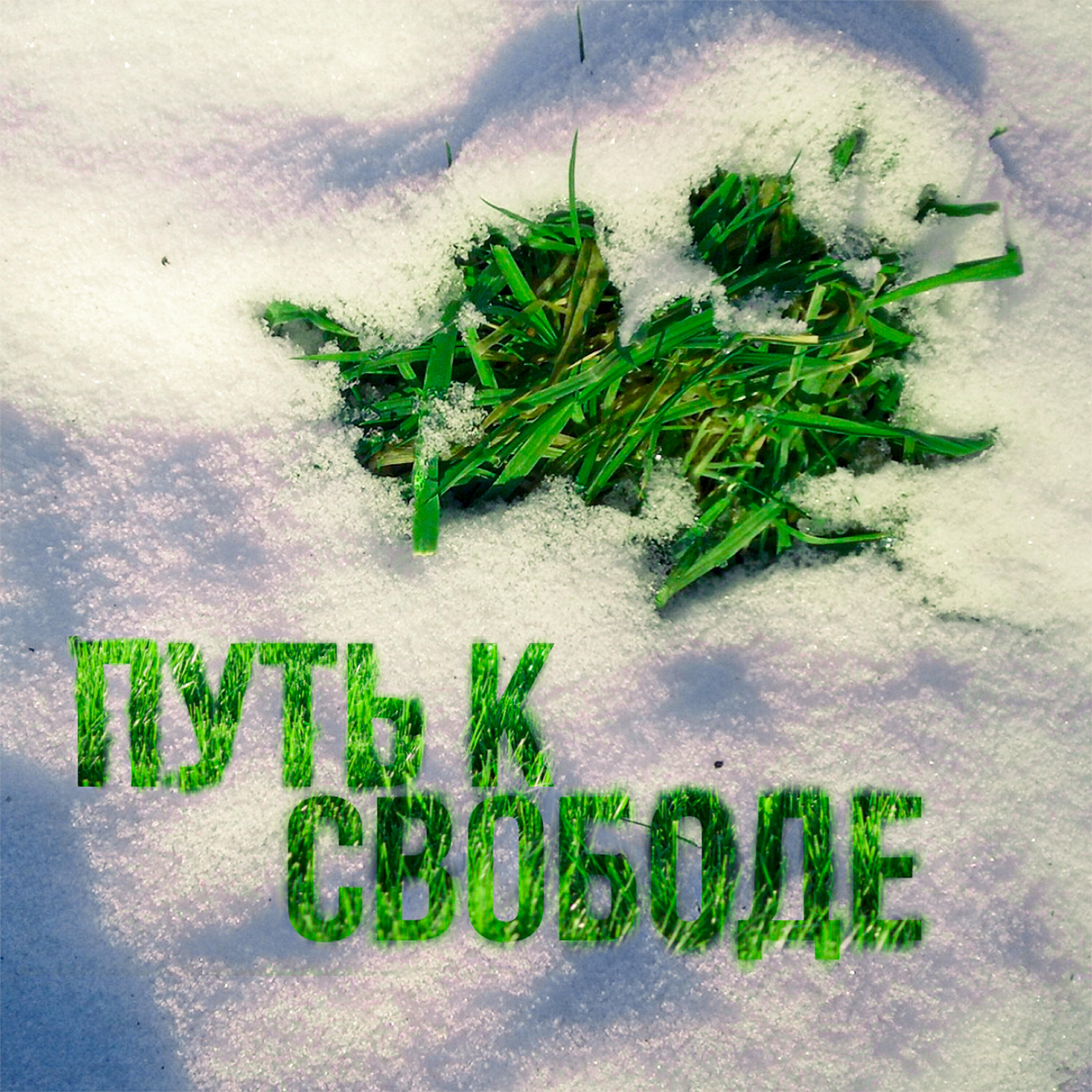 Релиз Путь к свободе