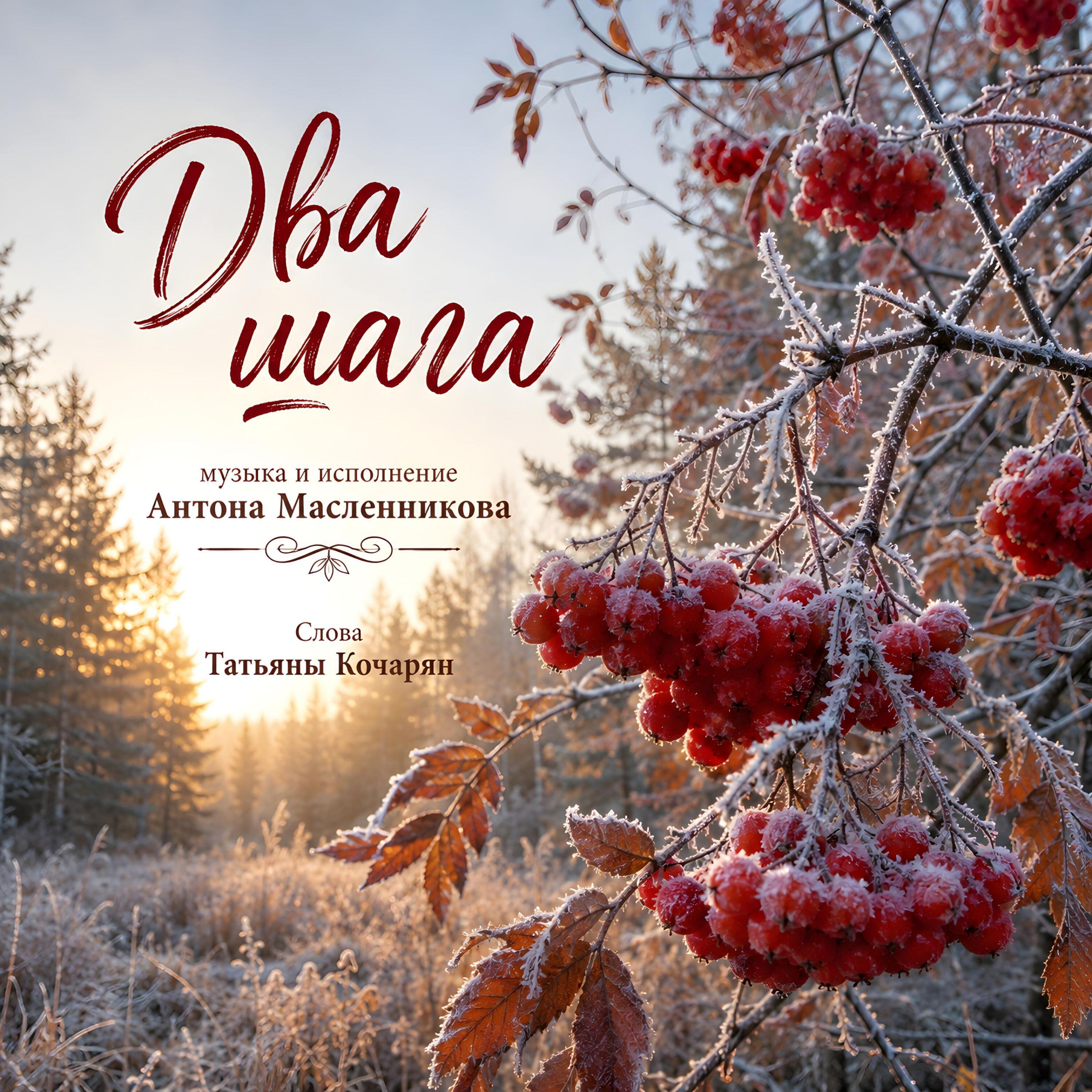 Релиз Два шага