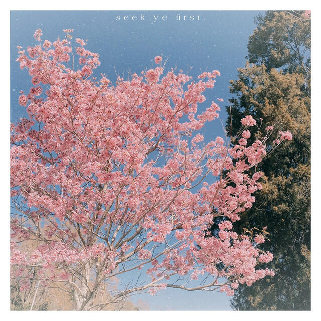 Релиз seek ye first.