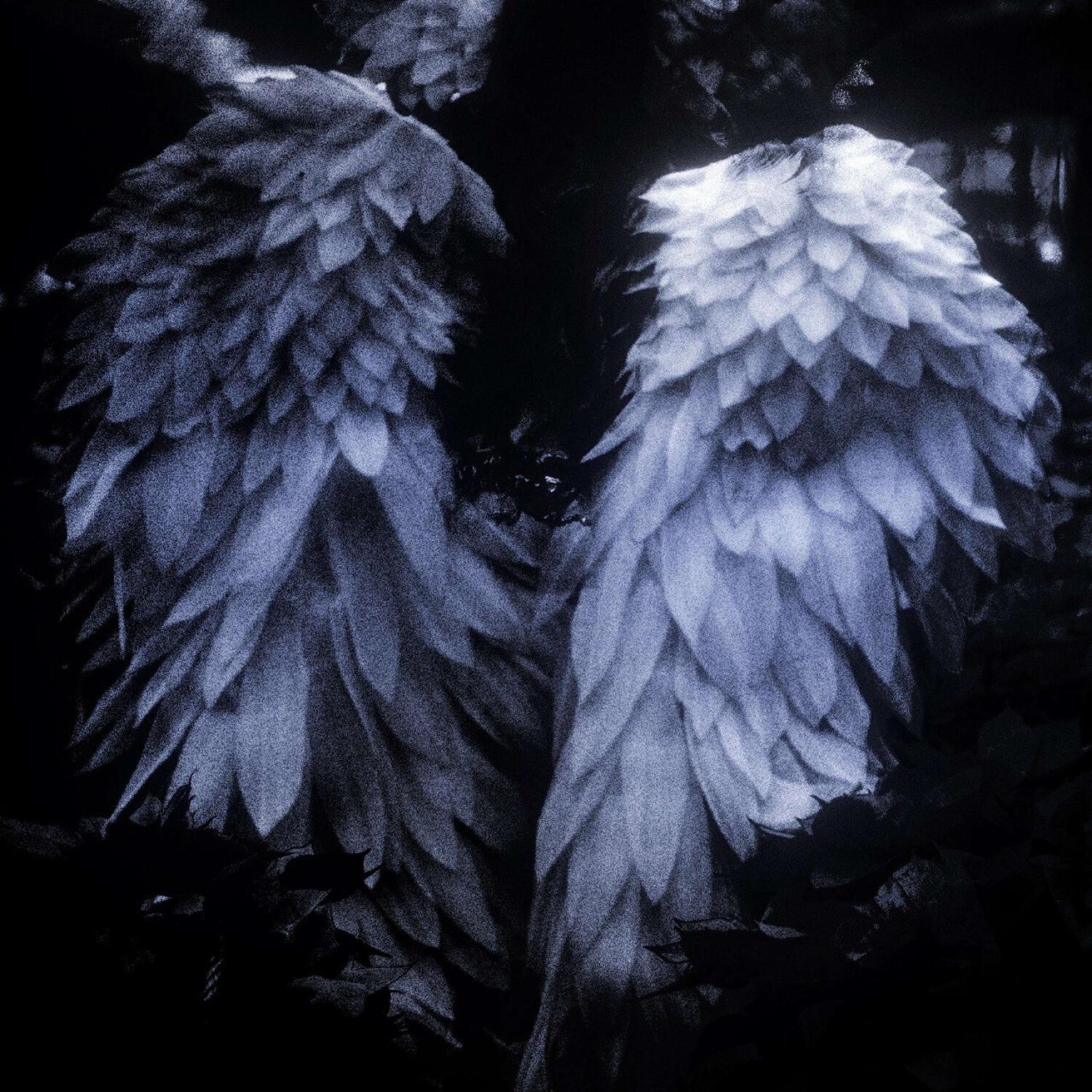 Релиз Моя звезда