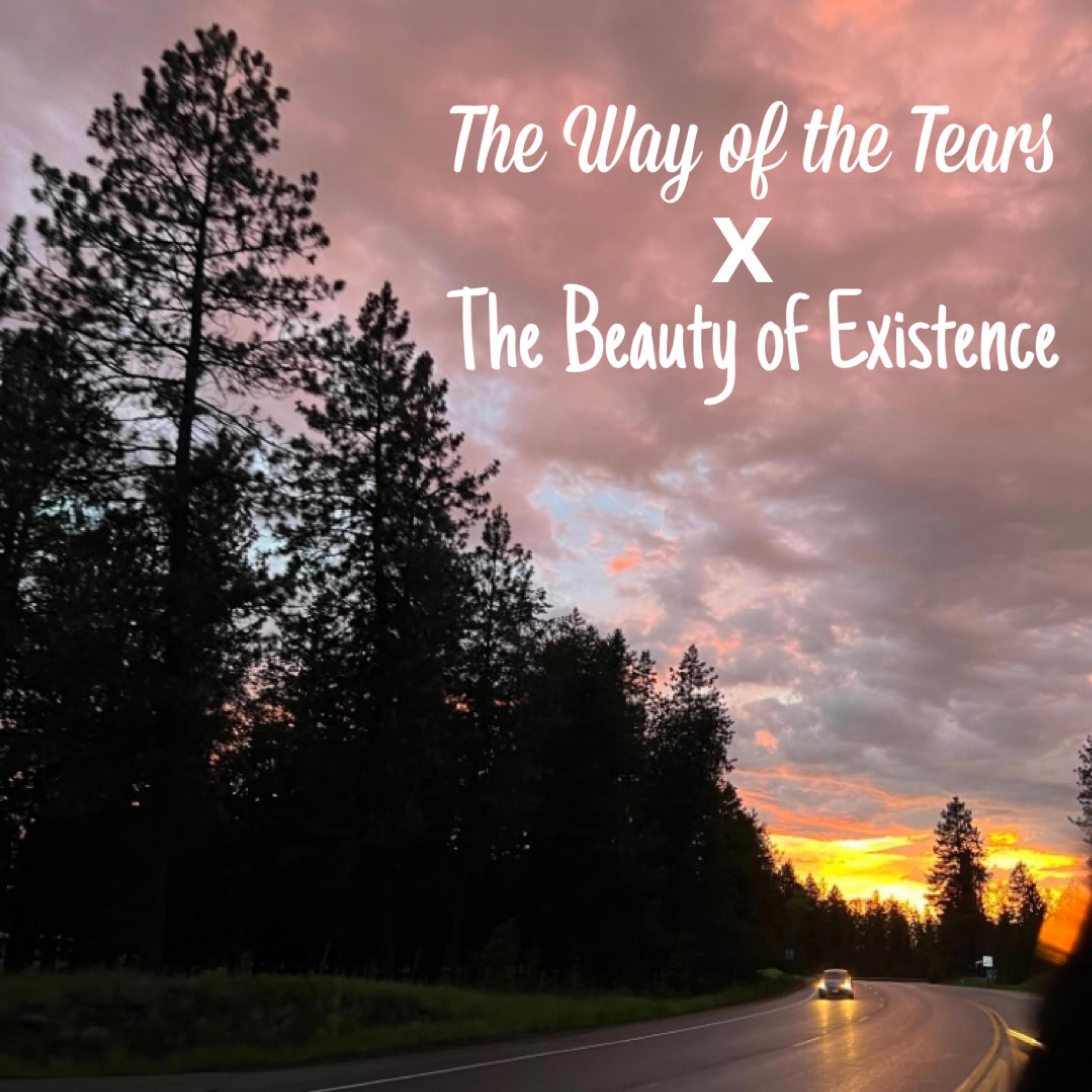 Релиз The Way of the Tears x The Beauty of Existence