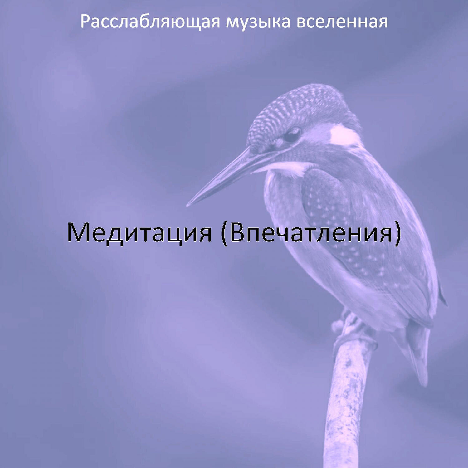 Постер альбома Медитация (Впечатления)