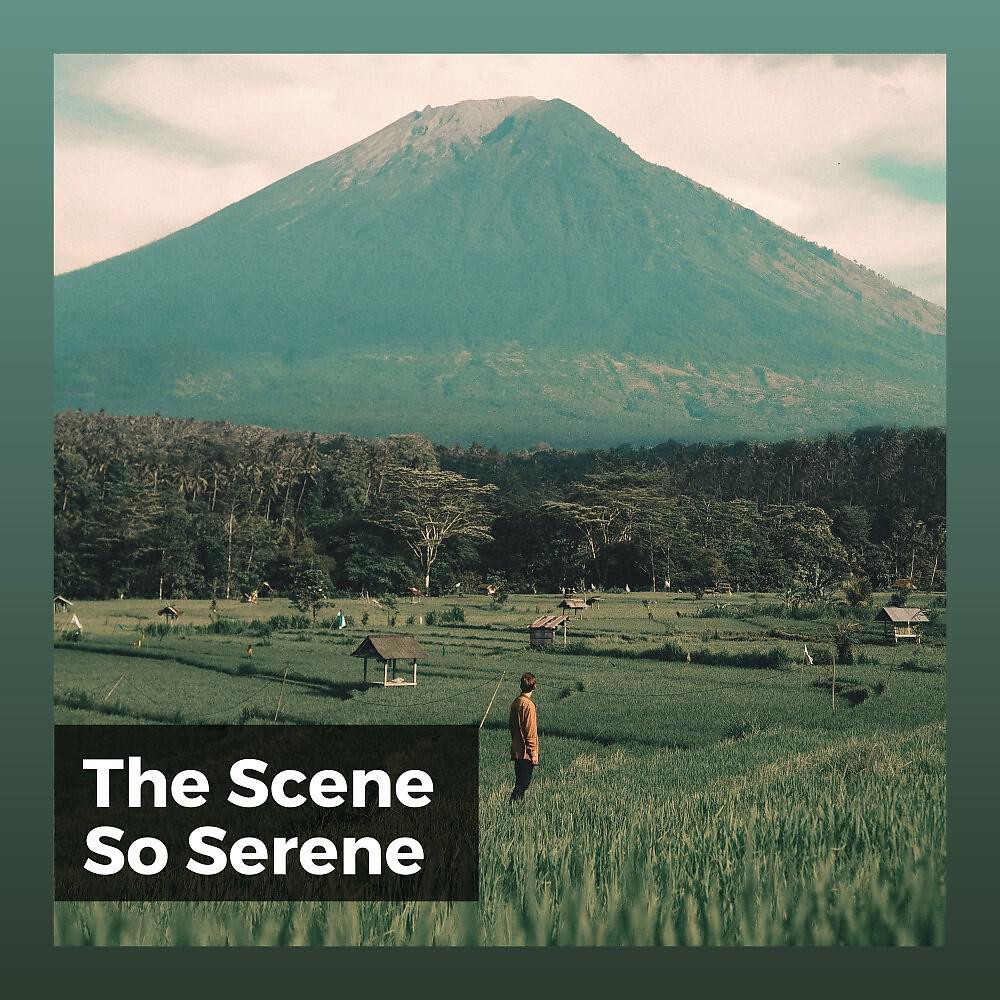 Релиз The Scene so Serene